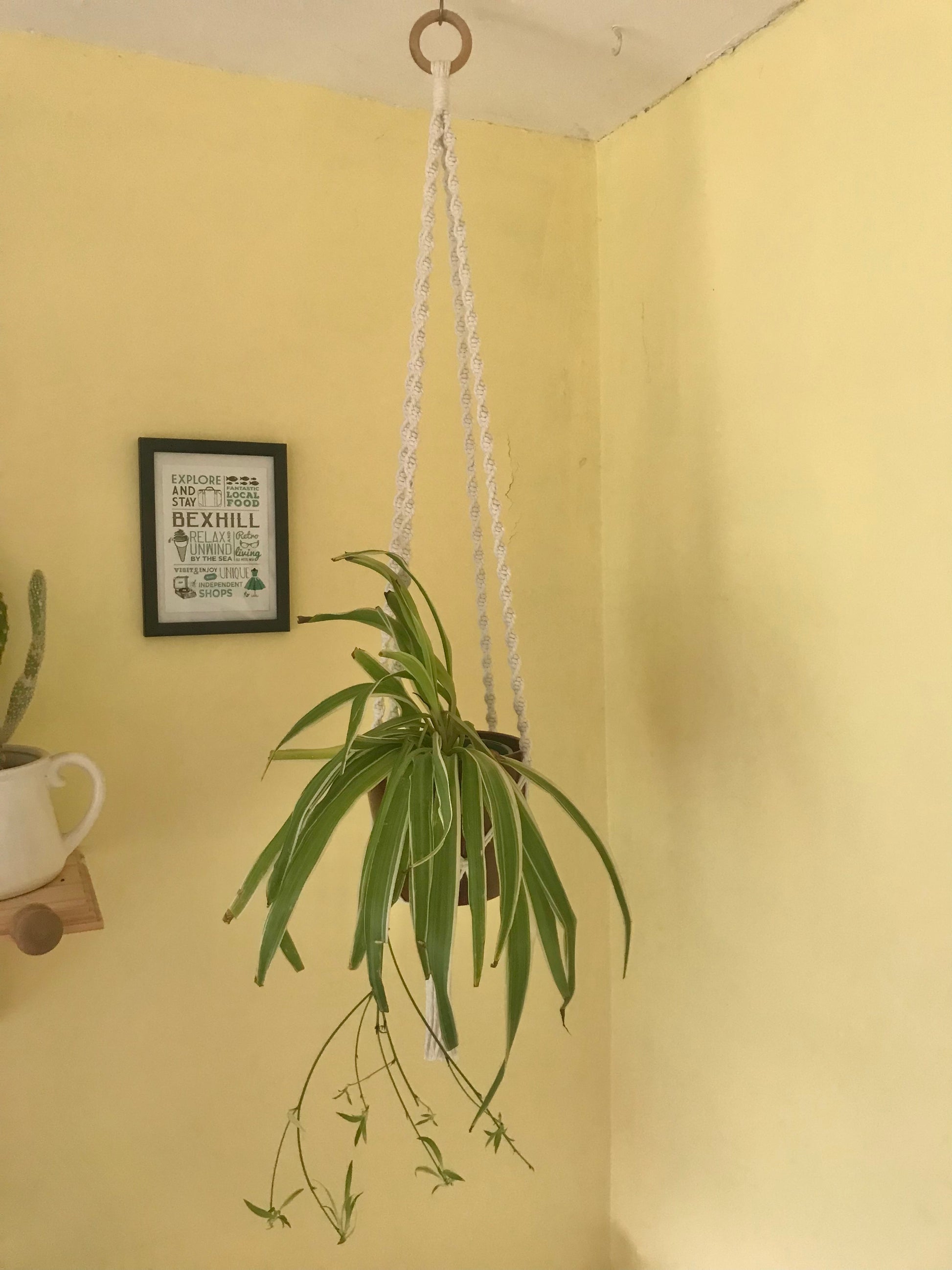 Macra-Made With Love macrame plant hanger natural hanging focus