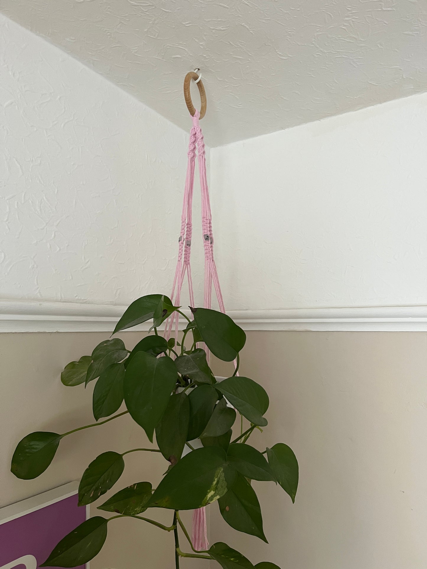 Skull Bead Macrame Plant Hanger