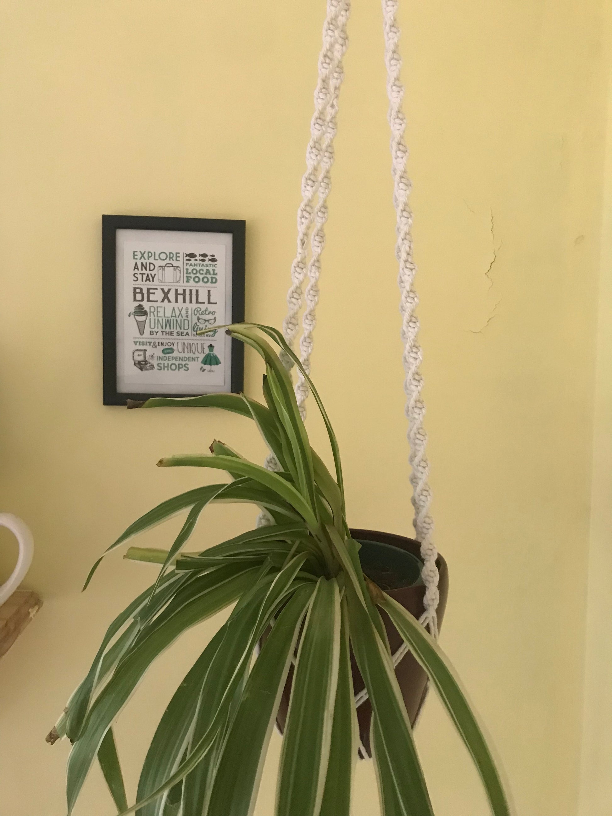 Macra-Made With Love macrame plant hanger natural twist