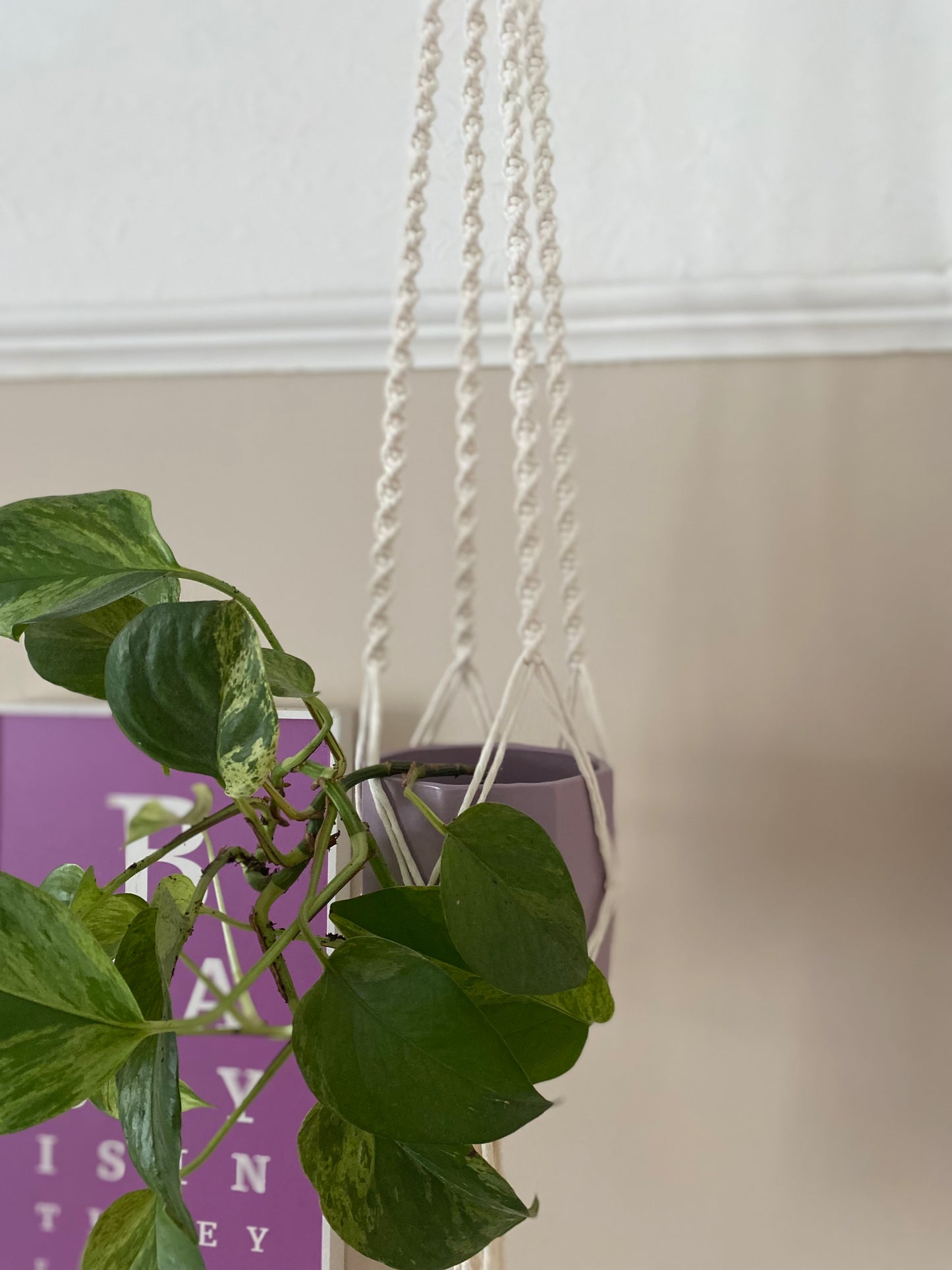 Macra-Made With Love macrame plant hanger natural twist