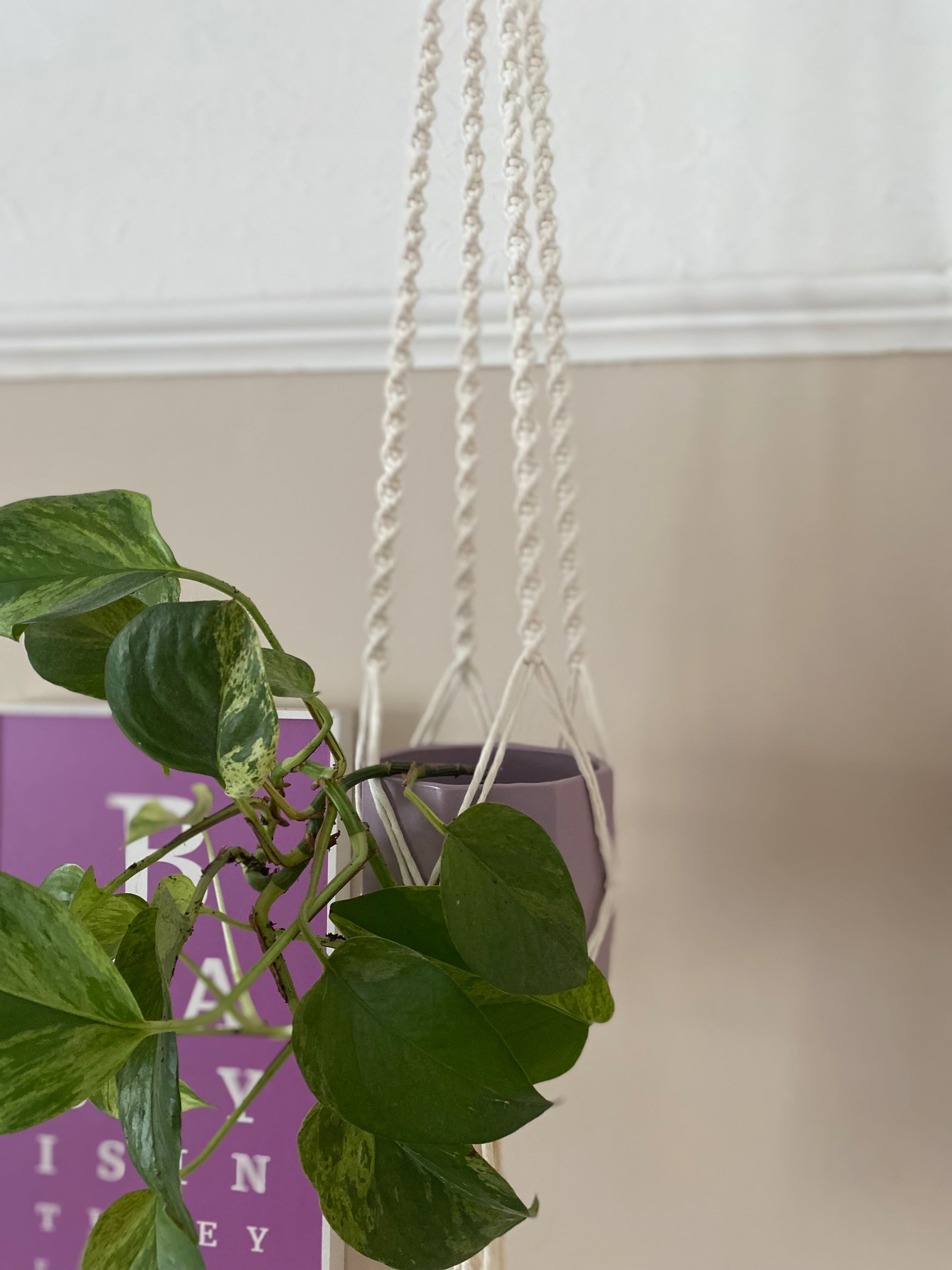 Macra-Made With Love macrame plant hanger natural twist