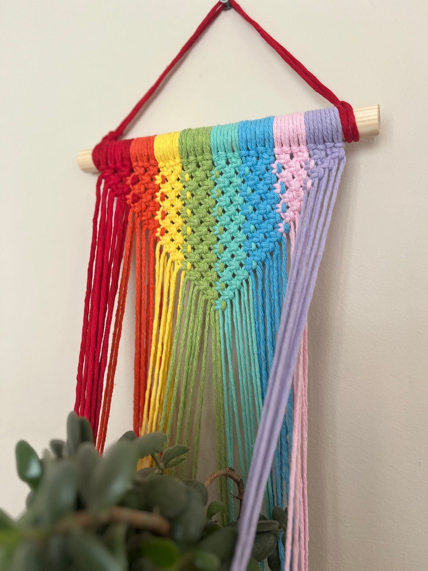 Large Rainbow Wall Hanging Planter