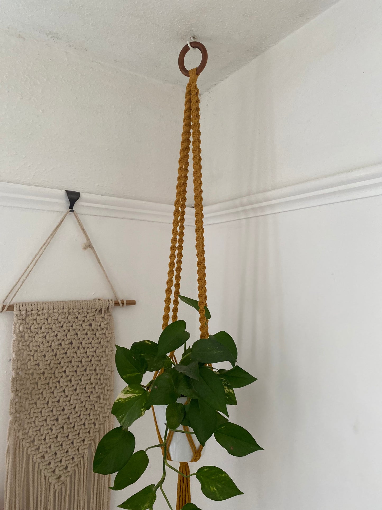 Macra-Made With Love macrame plant hanger mustard hanging