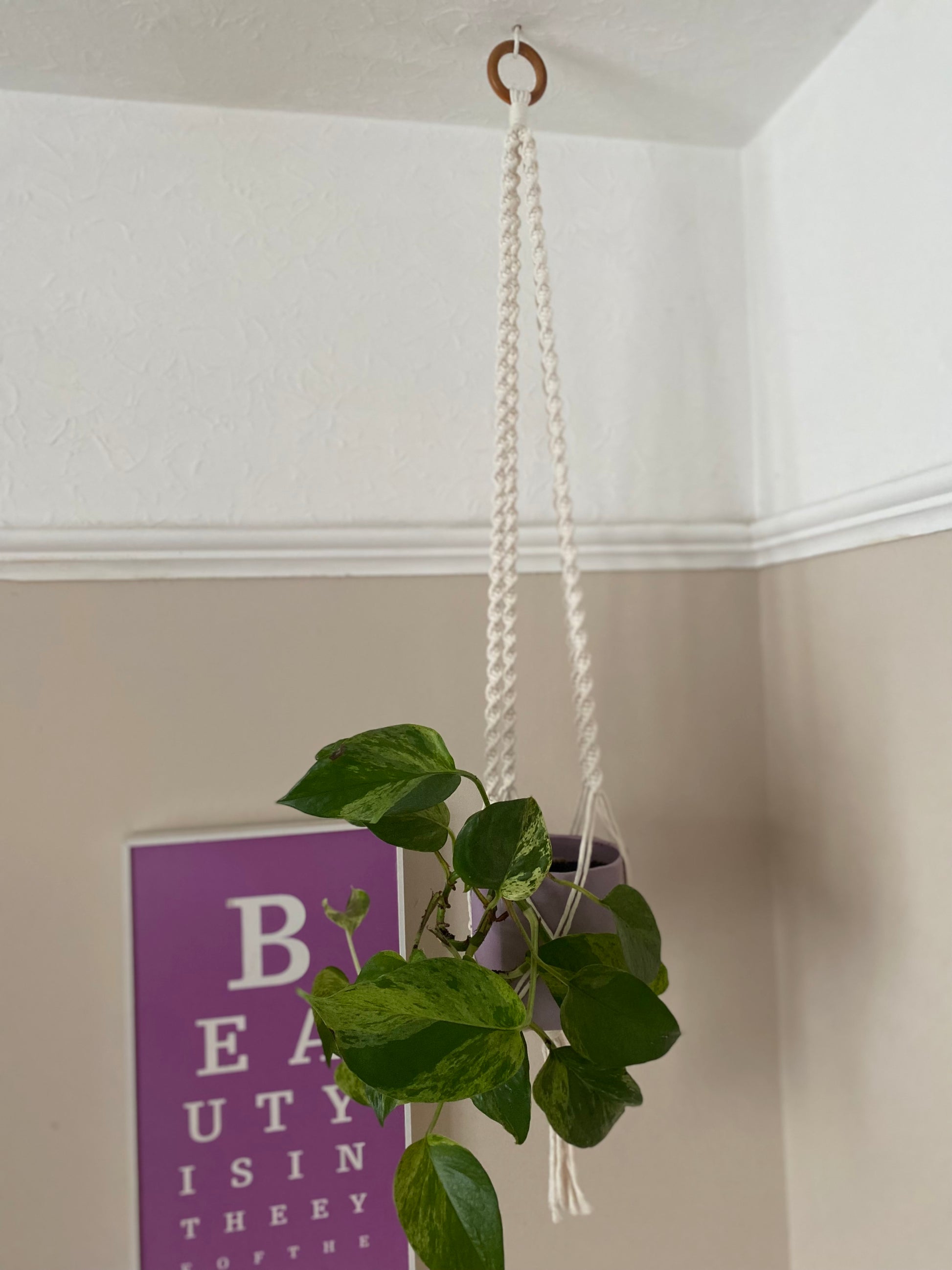 Macra-Made With Love macrame plant hanger natural corner focus