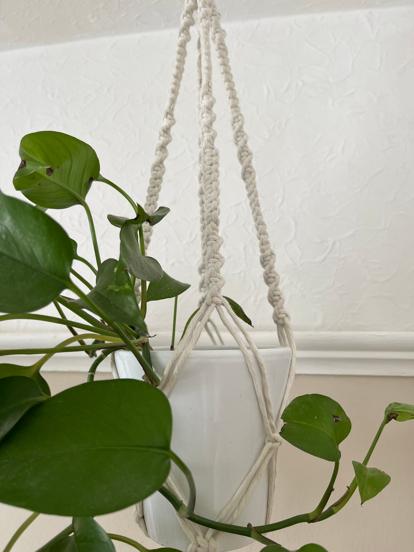 Short Plant Pot Hanger | 50cm