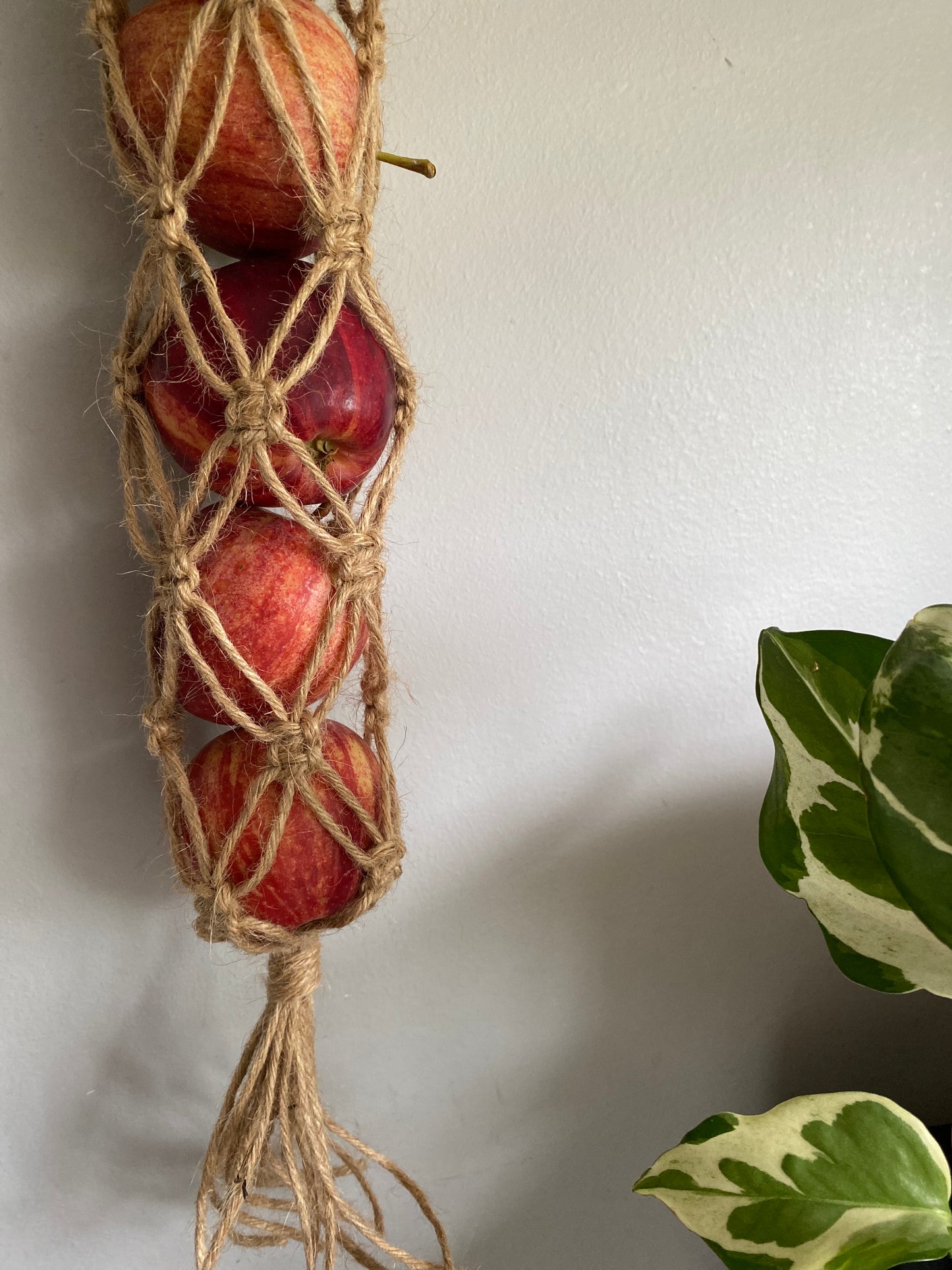 Hanging Vegetable Storage