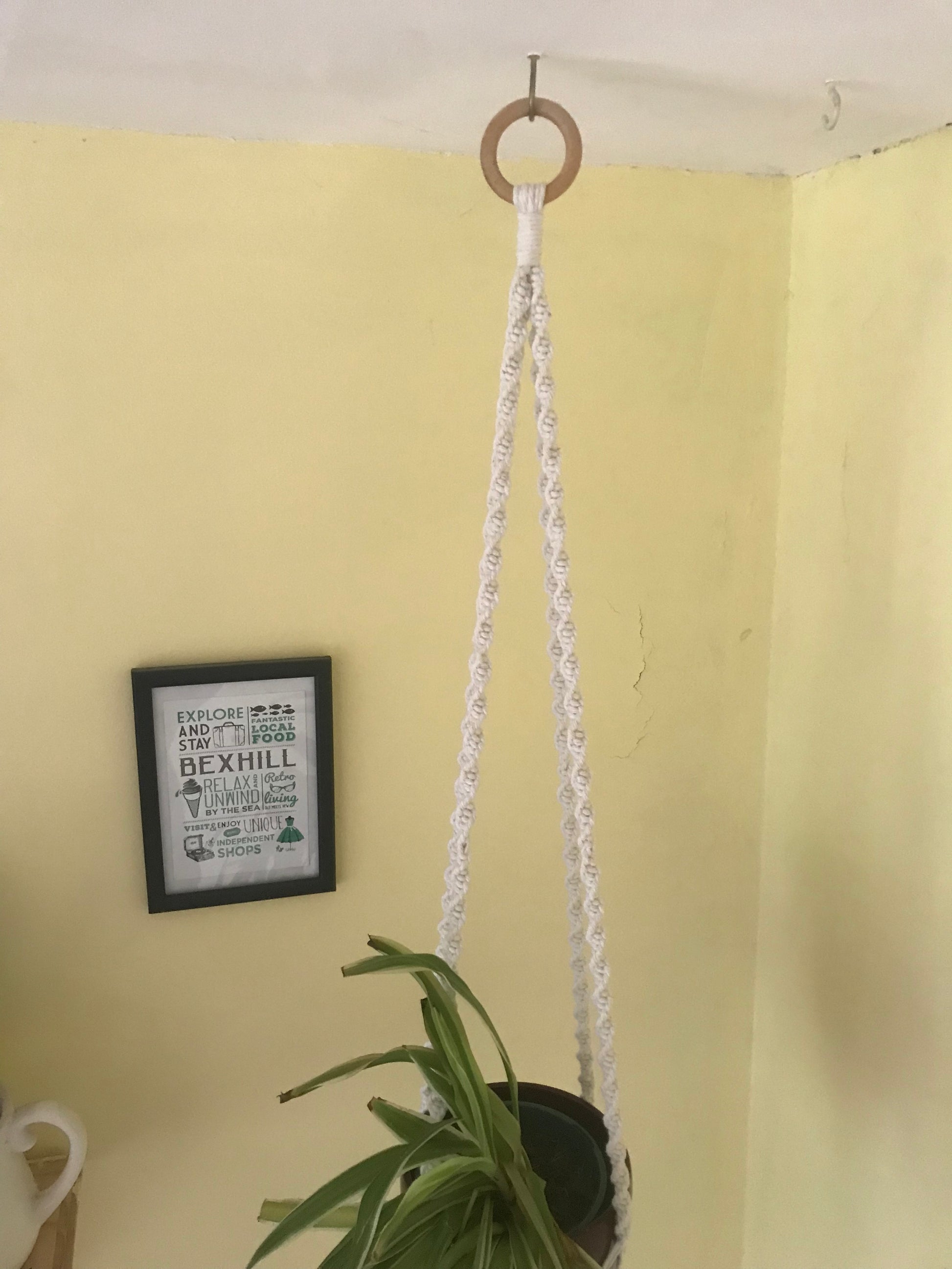 Macra-Made With Love macrame plant hanger natural top focus
