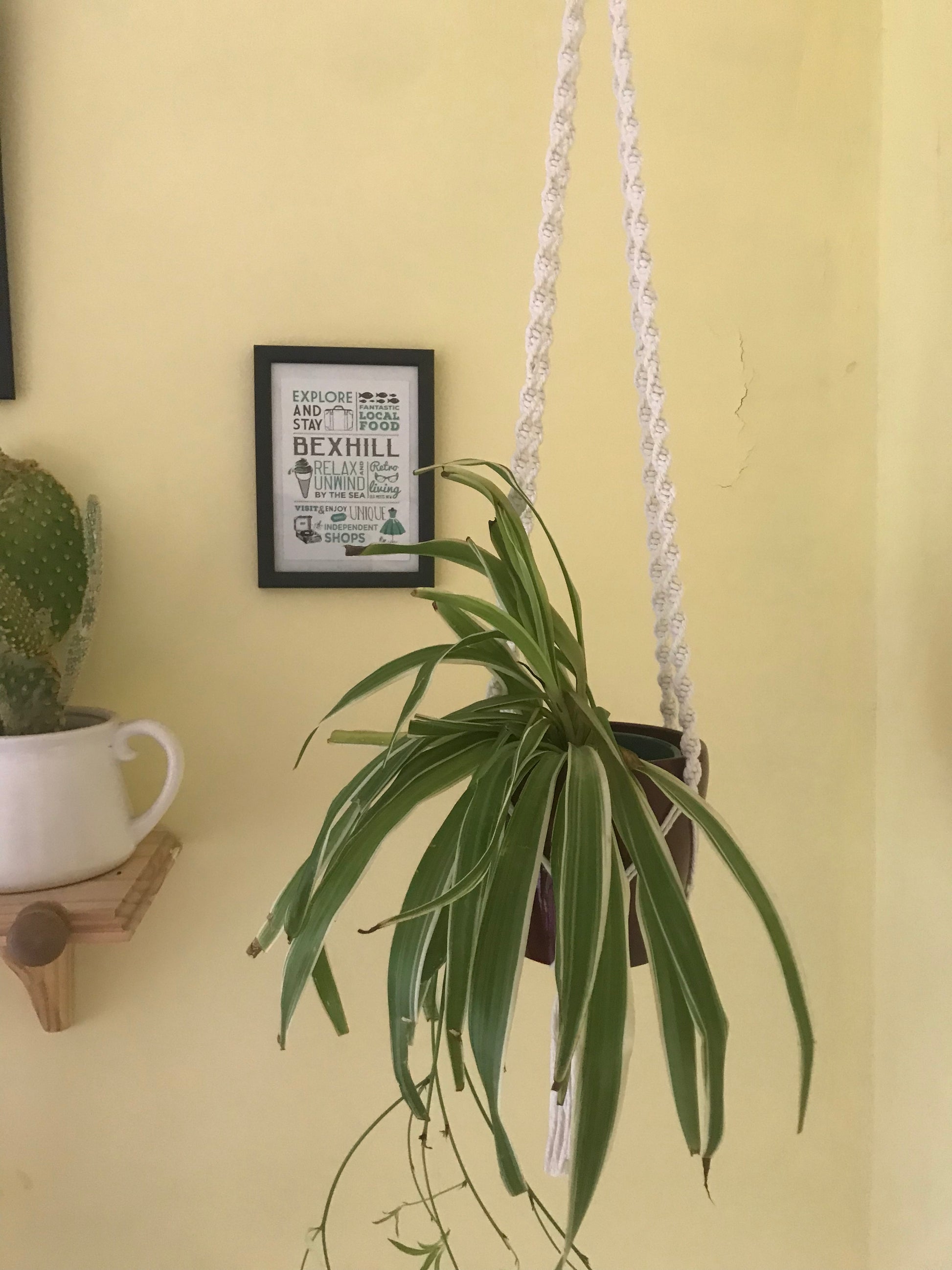 Macra-Made With Love macrame plant hanger natural bottom focus