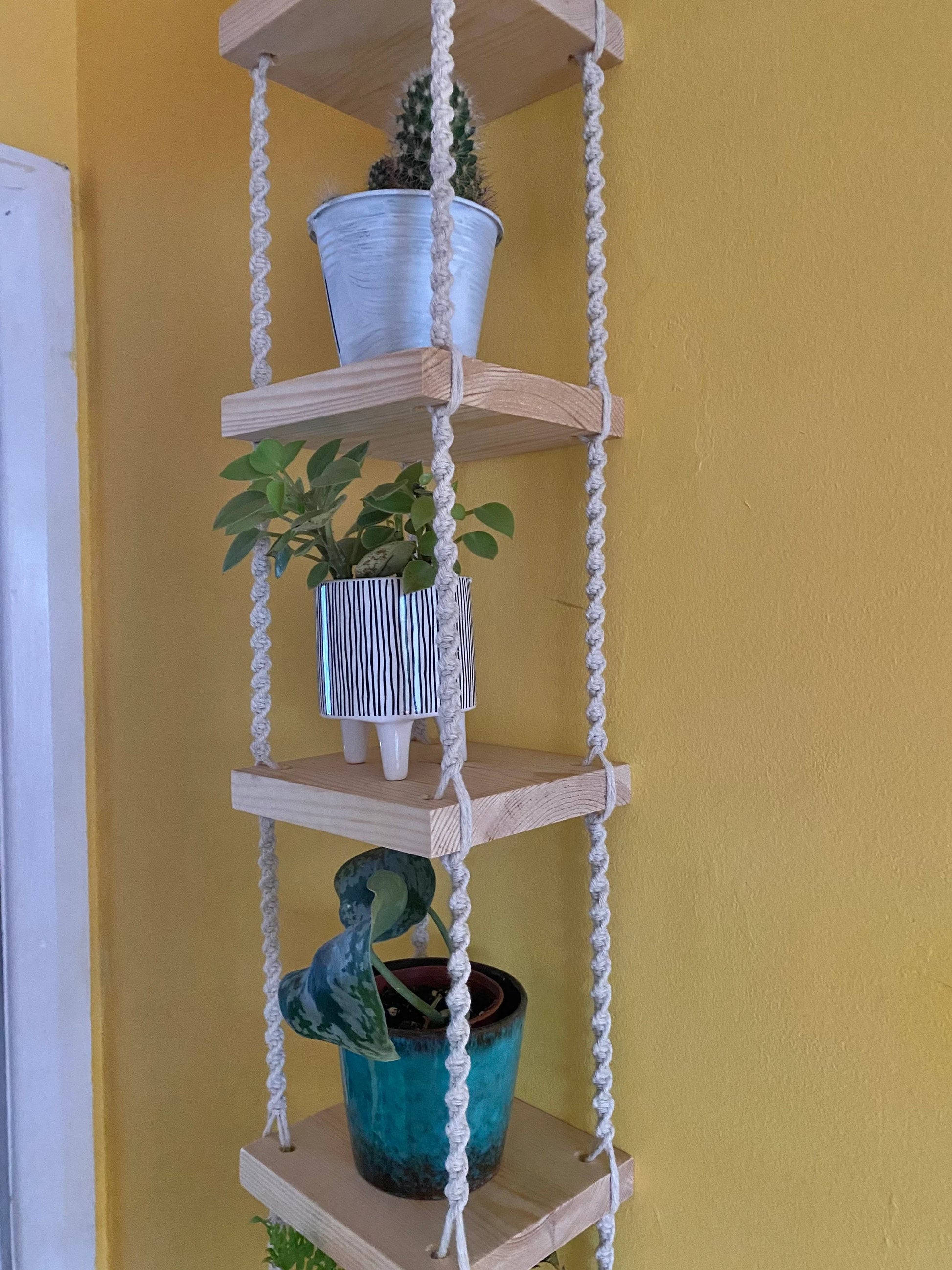 Handmade macrame rope shelves, made with small square wooden shelves, held together with natural knotted rope. Displayed hanging on a yellow wall, with small houseplants on each shelf.