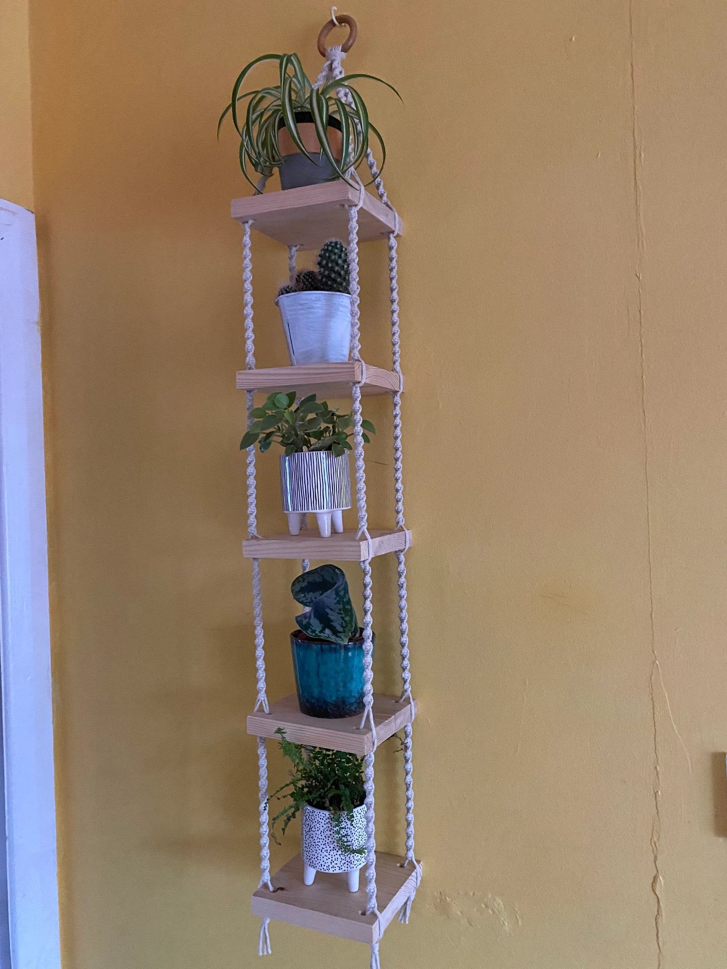 Handmade macrame rope shelves, made with small square wooden shelves, held together with natural knotted rope. Displayed hanging on a yellow wall, with small houseplants on each shelf.