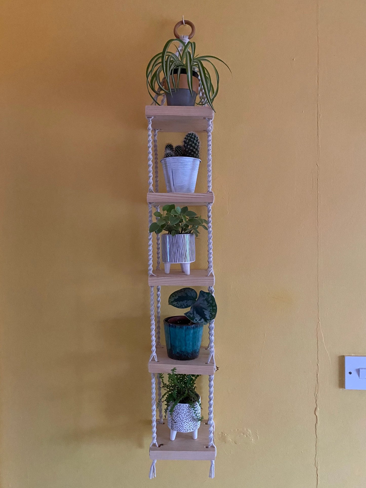 Handmade macrame rope shelves, made with small square wooden shelves, held together with natural knotted rope. Displayed hanging on a yellow wall, with small houseplants displayed on each shelf.