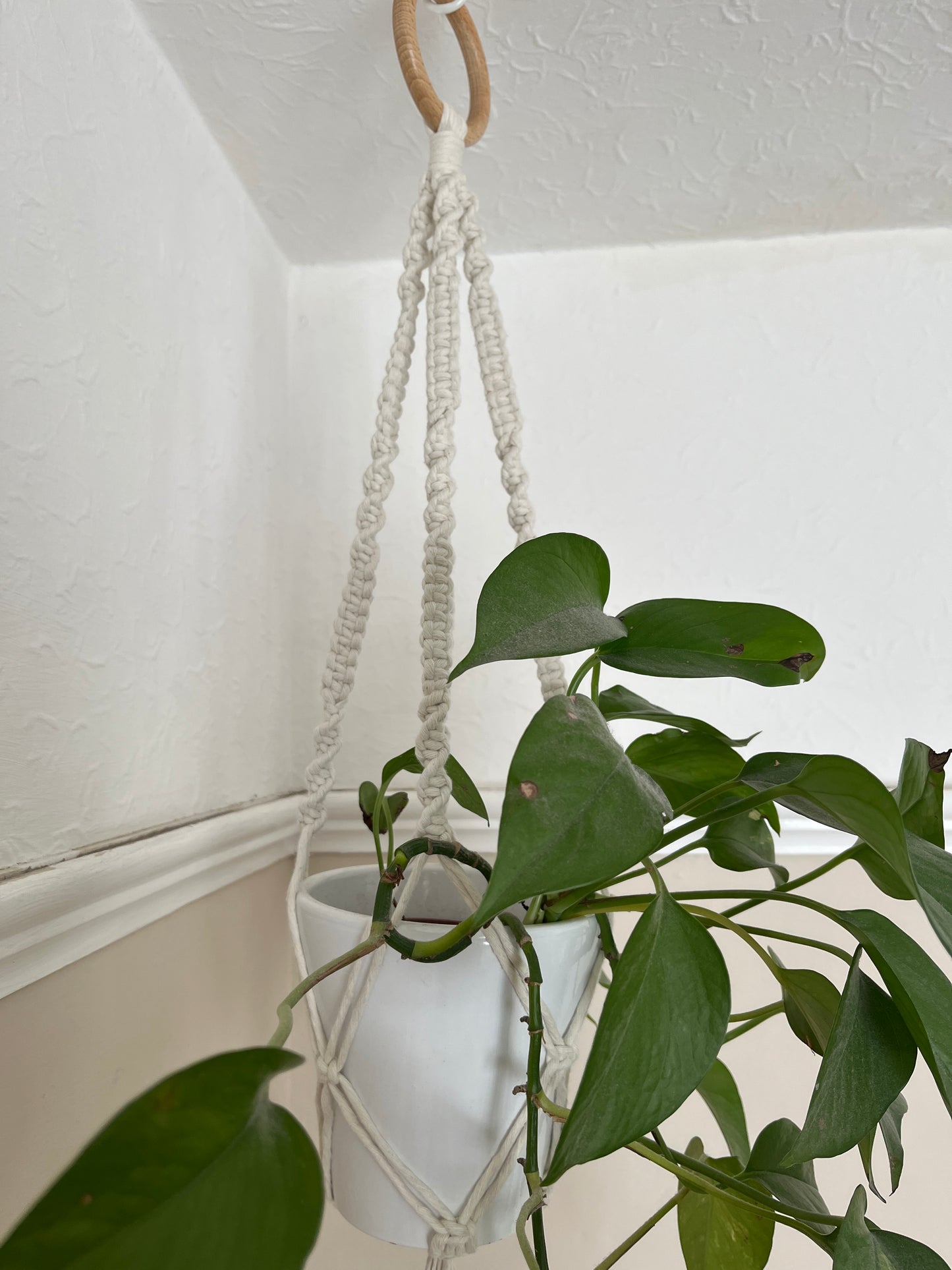 Short Plant Pot Hanger | 50cm