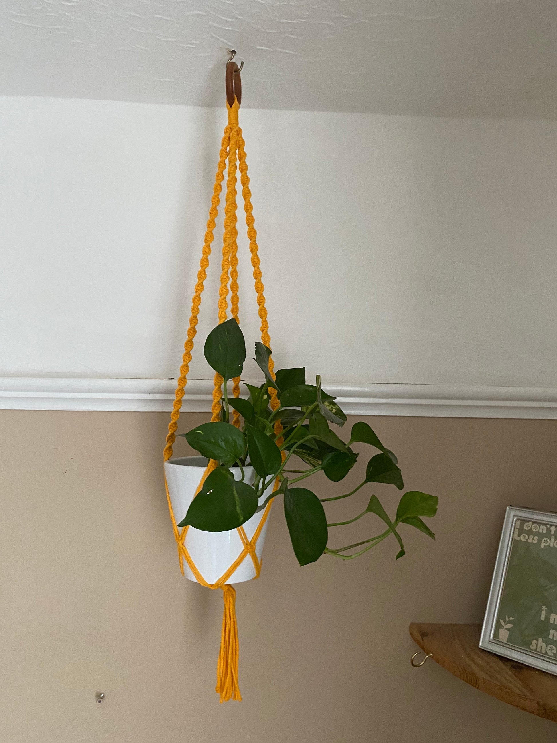 A leafy green plant in a white plant pot, hangs suspended from the ceiling in a bright yellow macrame plant hanger, with a wooden hanging ring. There is a small print in a frame on a wooden shelf in the corner.