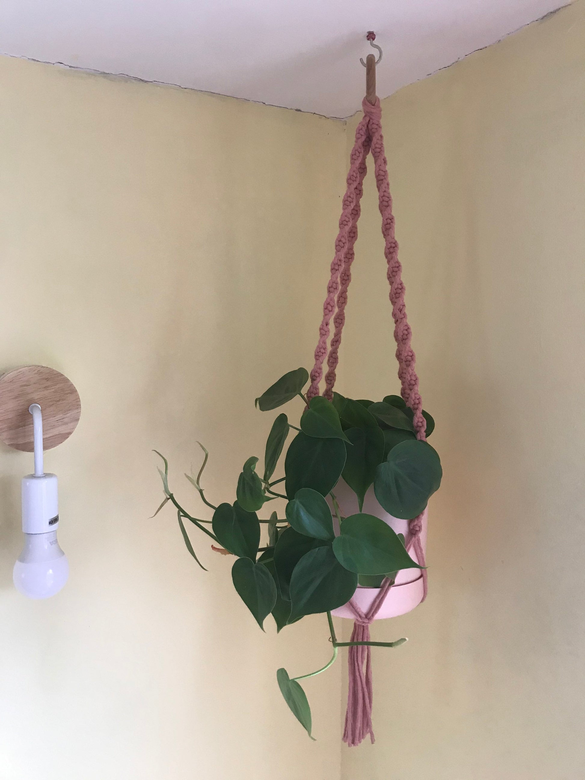 A leafy green plant in a pink plant pot, hangs suspended from the ceiling in a blush pink macrame plant hanger, with a wooden hanging ring. The background is a pale yellow painted wall, with a small wall light.