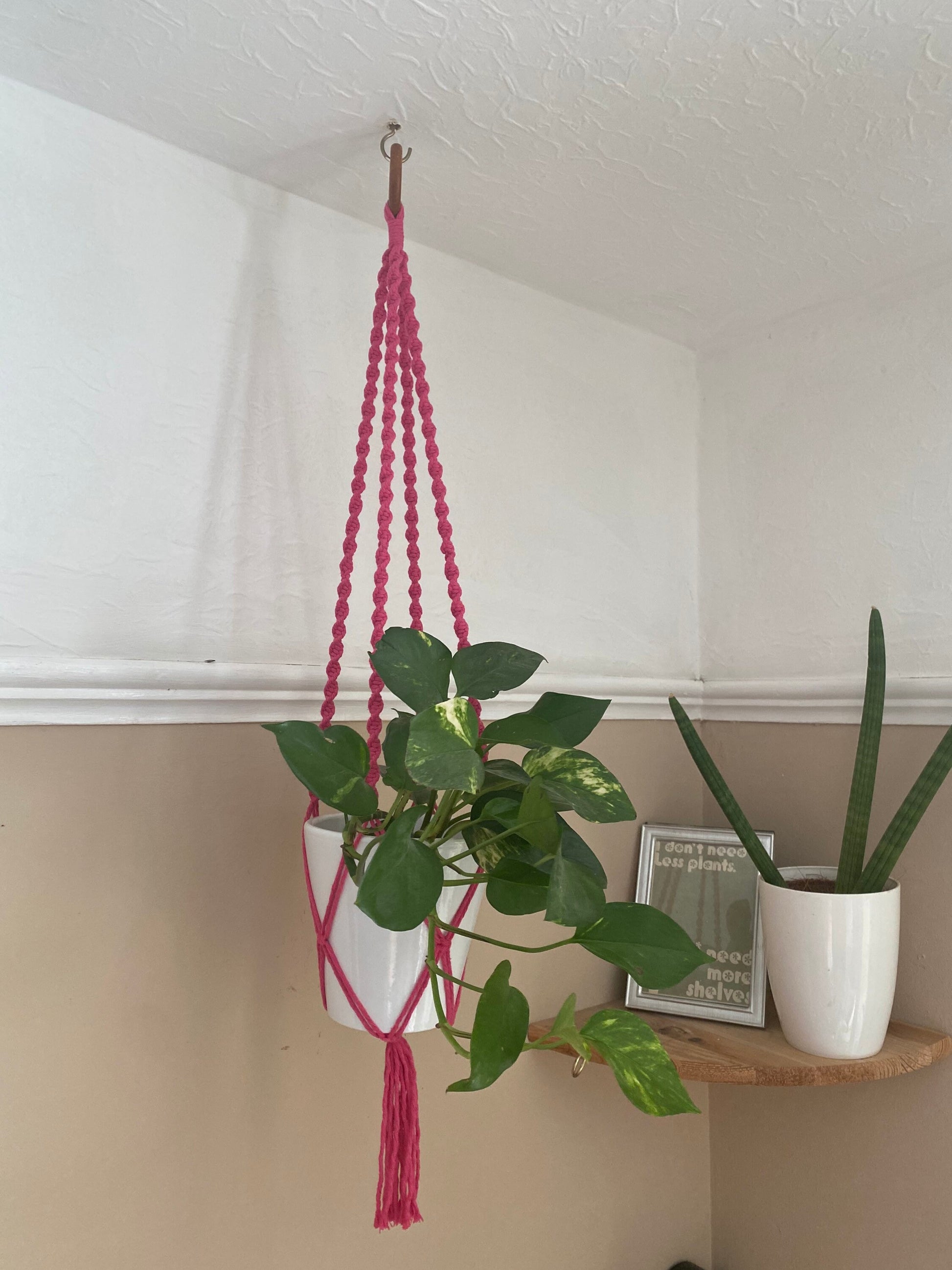 A leafy green plant in a white plant pot, hangs suspended from the ceiling in a bright pink macrame plant hanger, with a wooden hanging ring. There is another houseplants on a wooden shelf in the background.