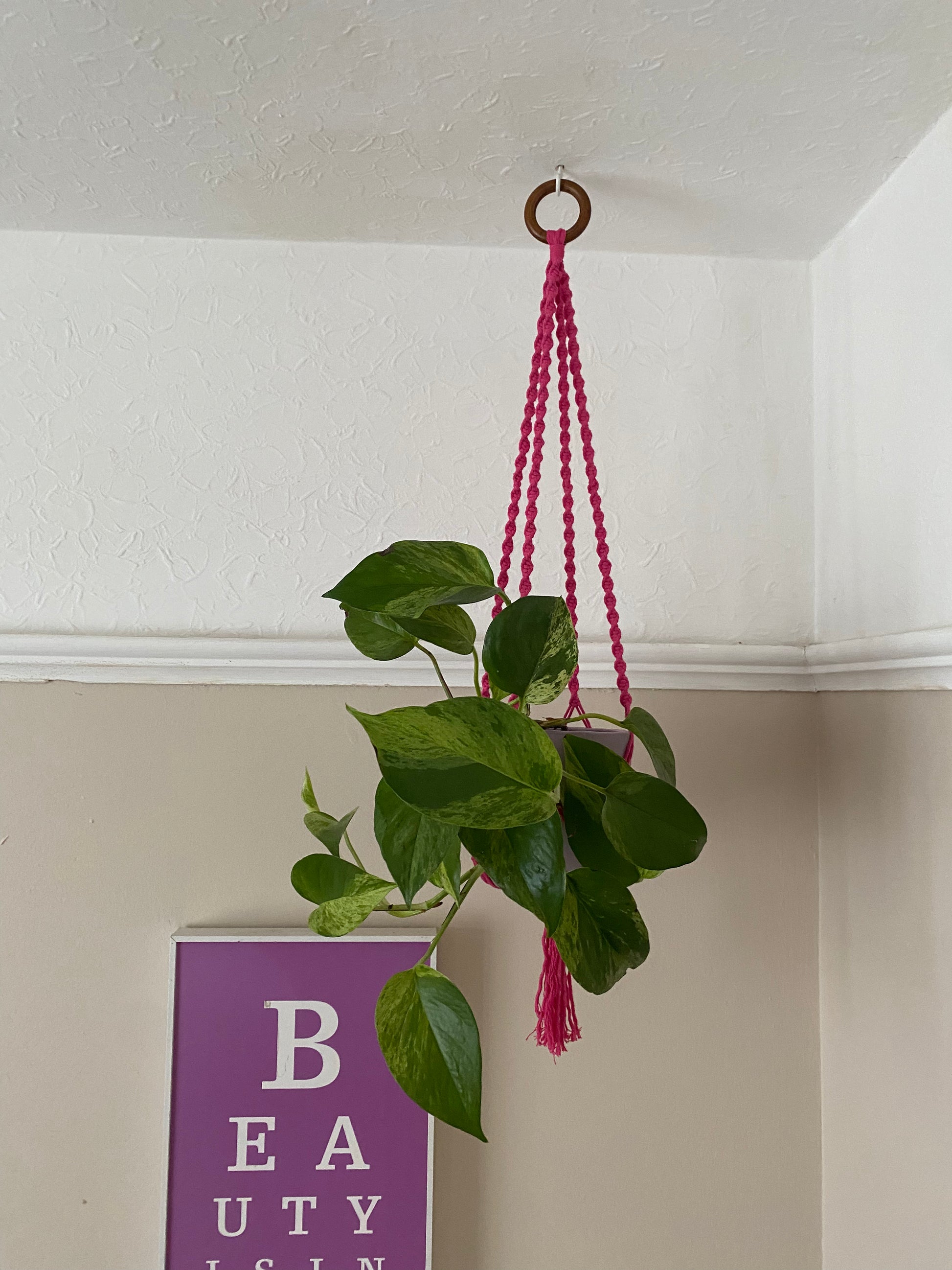 A leafy green plant hangs suspended from the ceiling in a bright pink macrame plant hanger, with a wooden hanging ring. There is a large pink print on the wall nearby.