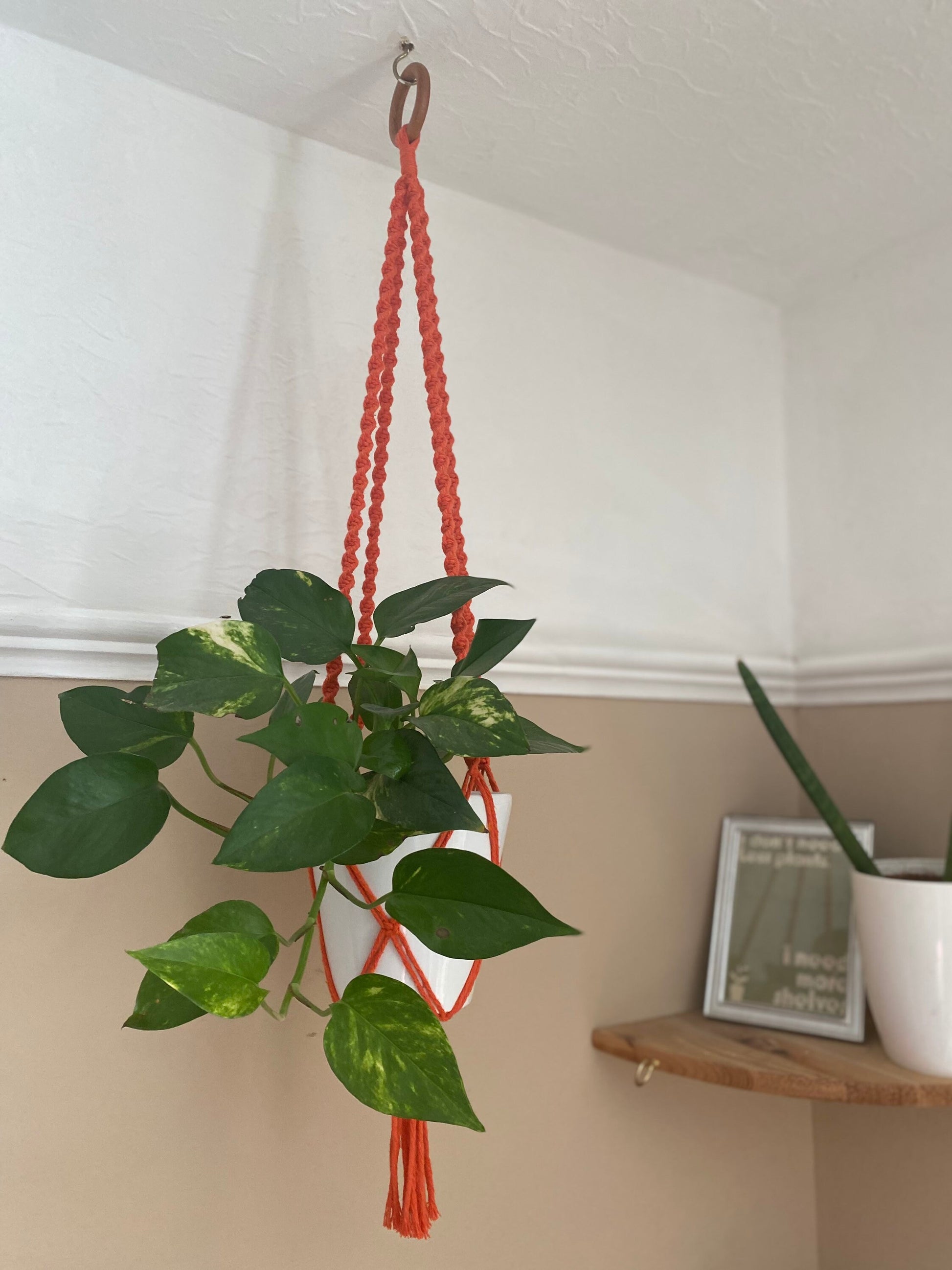 A leafy green plant in a white plant pot, hangs suspended from the ceiling in an orange macrame plant hanger, with a wooden hanging ring. There is another houseplants on a wooden shelf in the background.