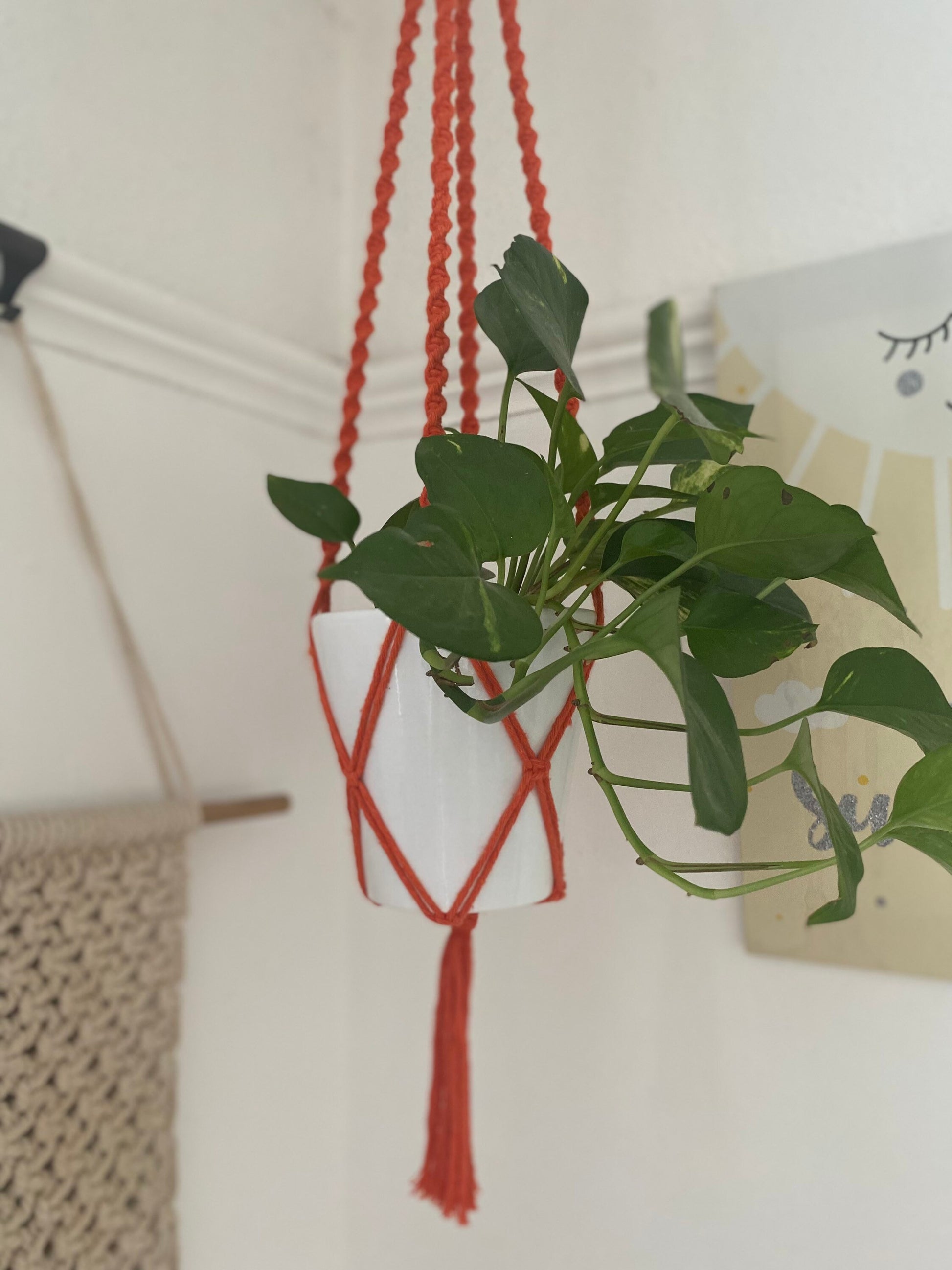 A leafy green plant in a white plant pot, hangs suspended from the ceiling in an orange macrame plant hanger. There is a small print, and a macrame wall hanging seen on the walls in the background.