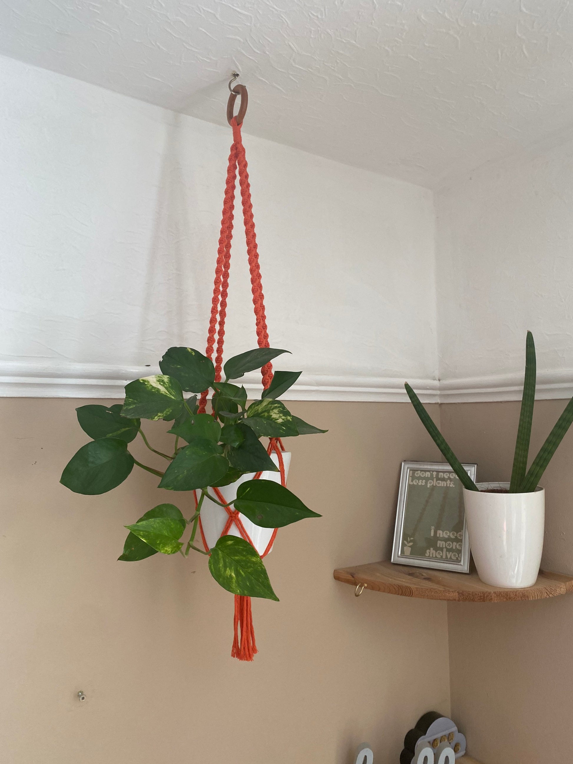 A leafy green plant in a white plant pot, hangs suspended from the ceiling in an orange macrame plant hanger, with a wooden hanging ring. There is another houseplant and a print in a frame on a wooden shelf in the background.