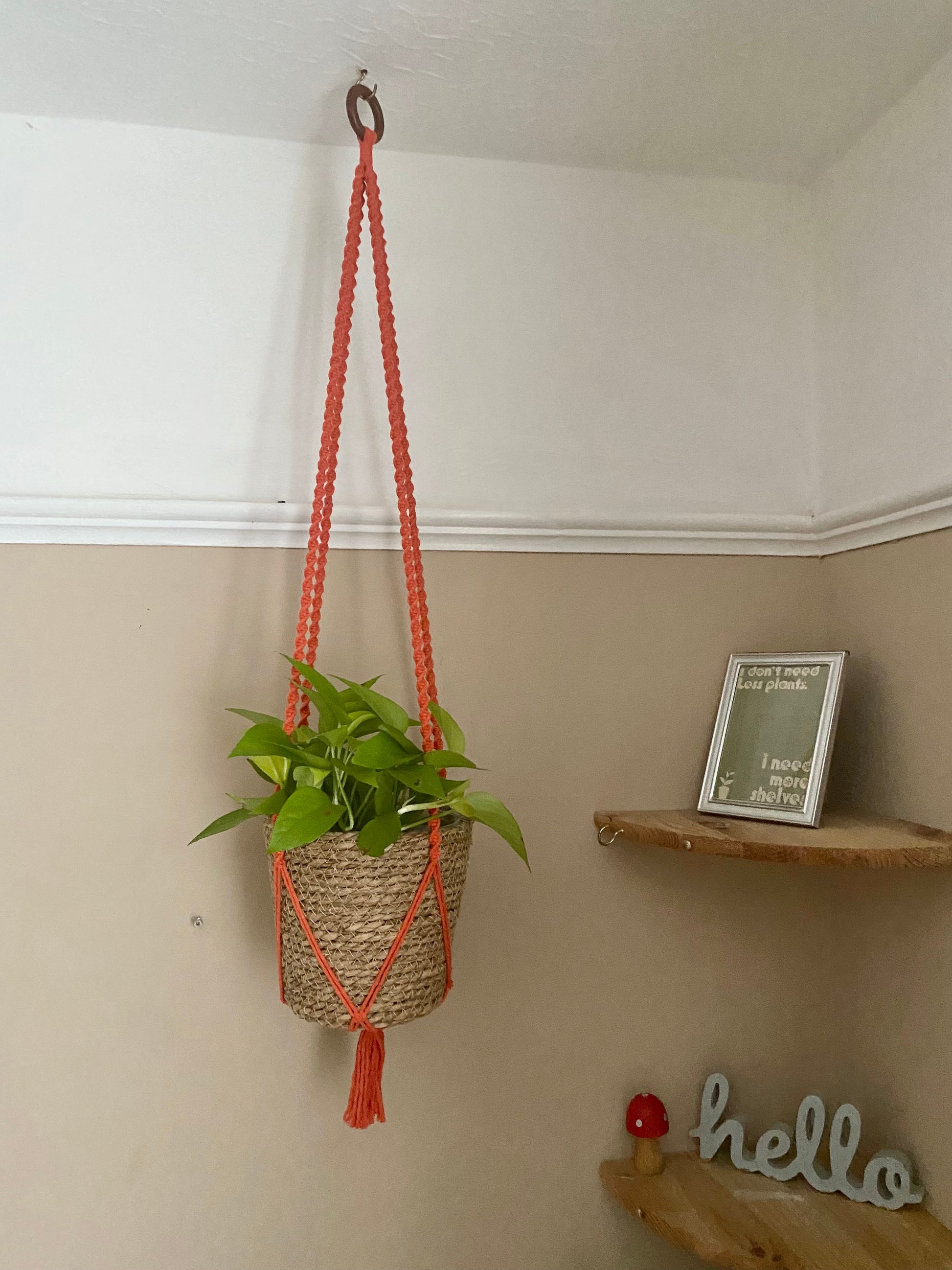 Macra-Made With Love macrame plant hanger orange hanging