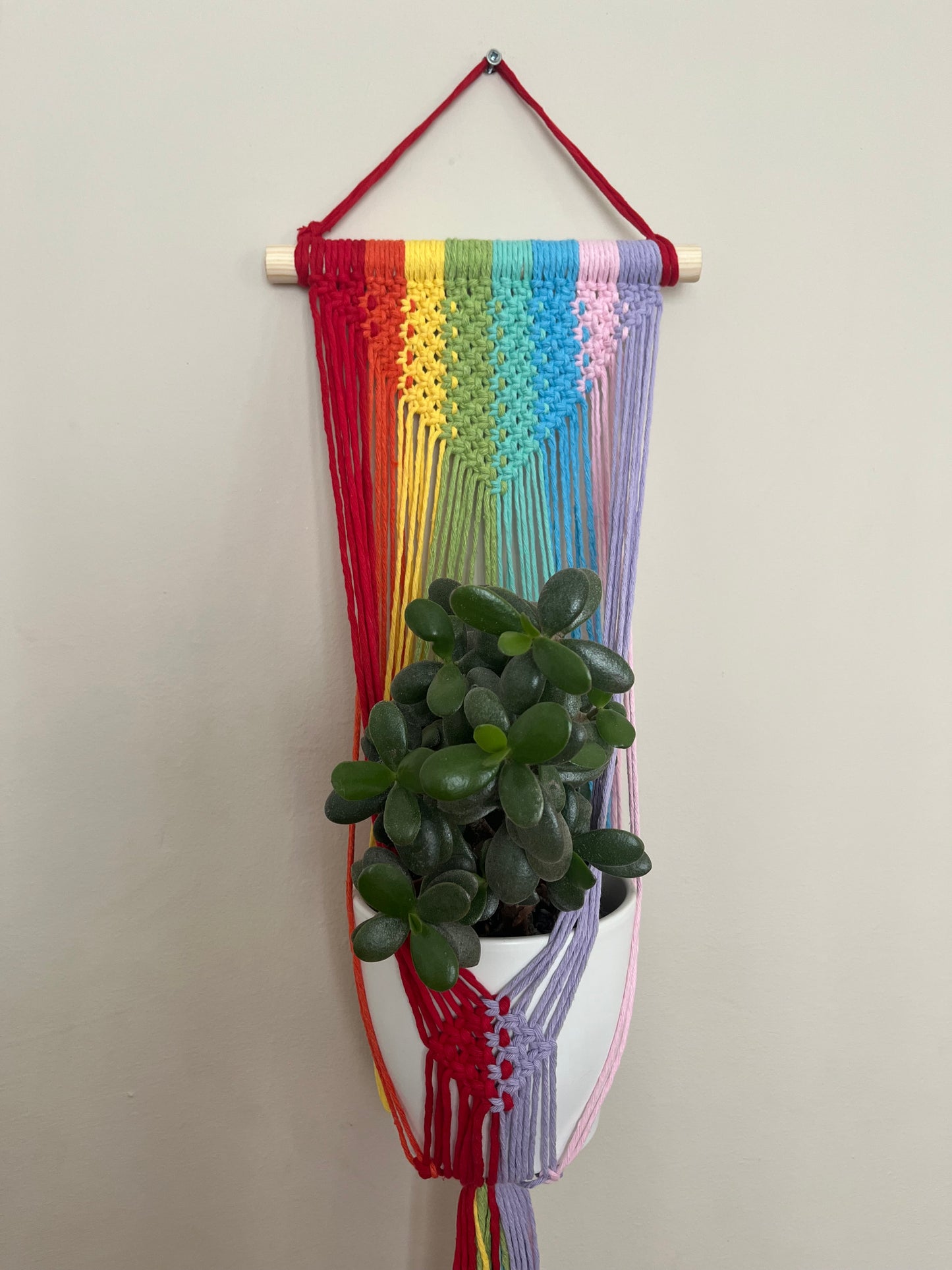 Large Rainbow Wall Hanging Planter