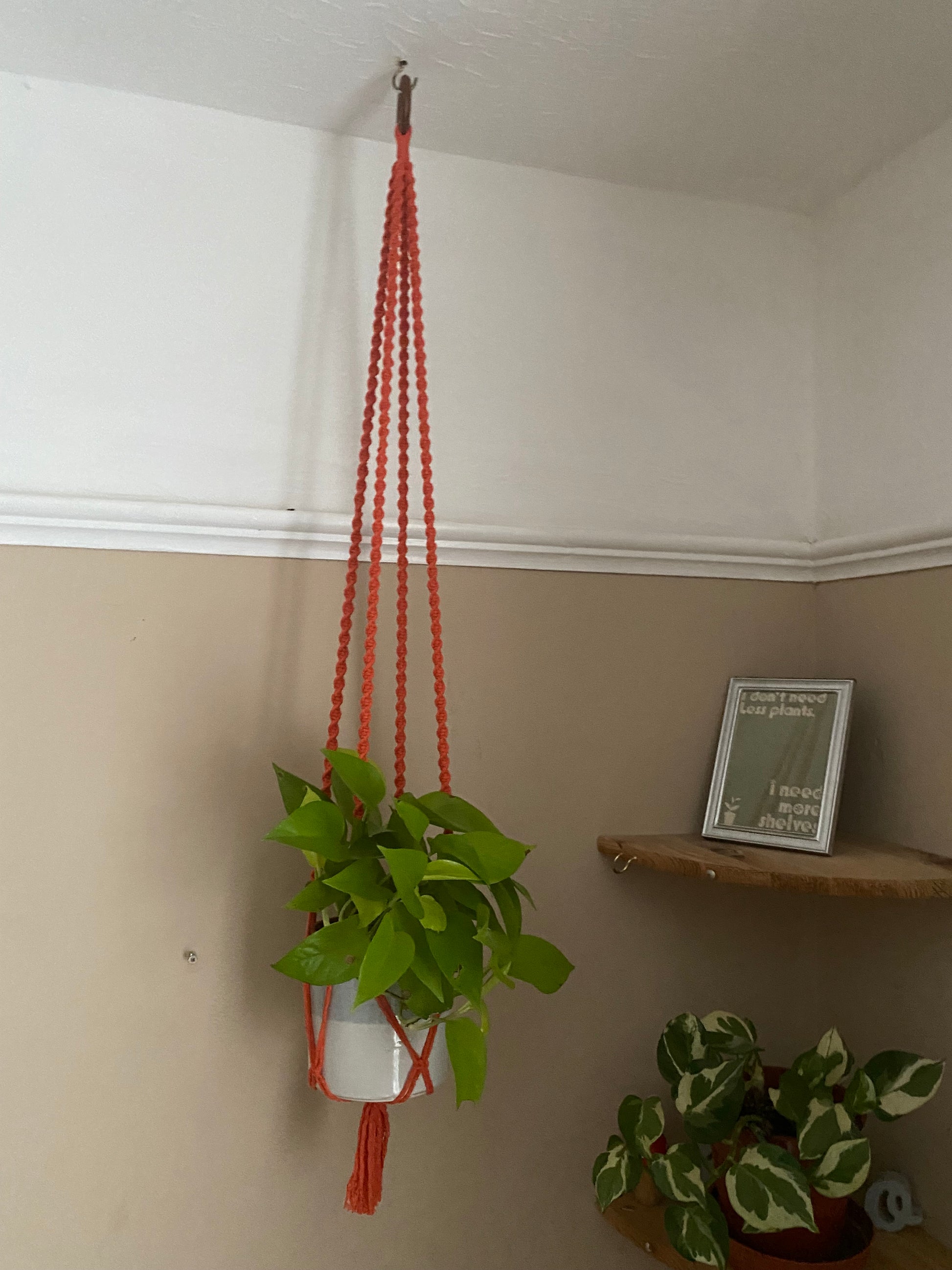 Macra-Made With Love macrame plant hanger orange hanging long