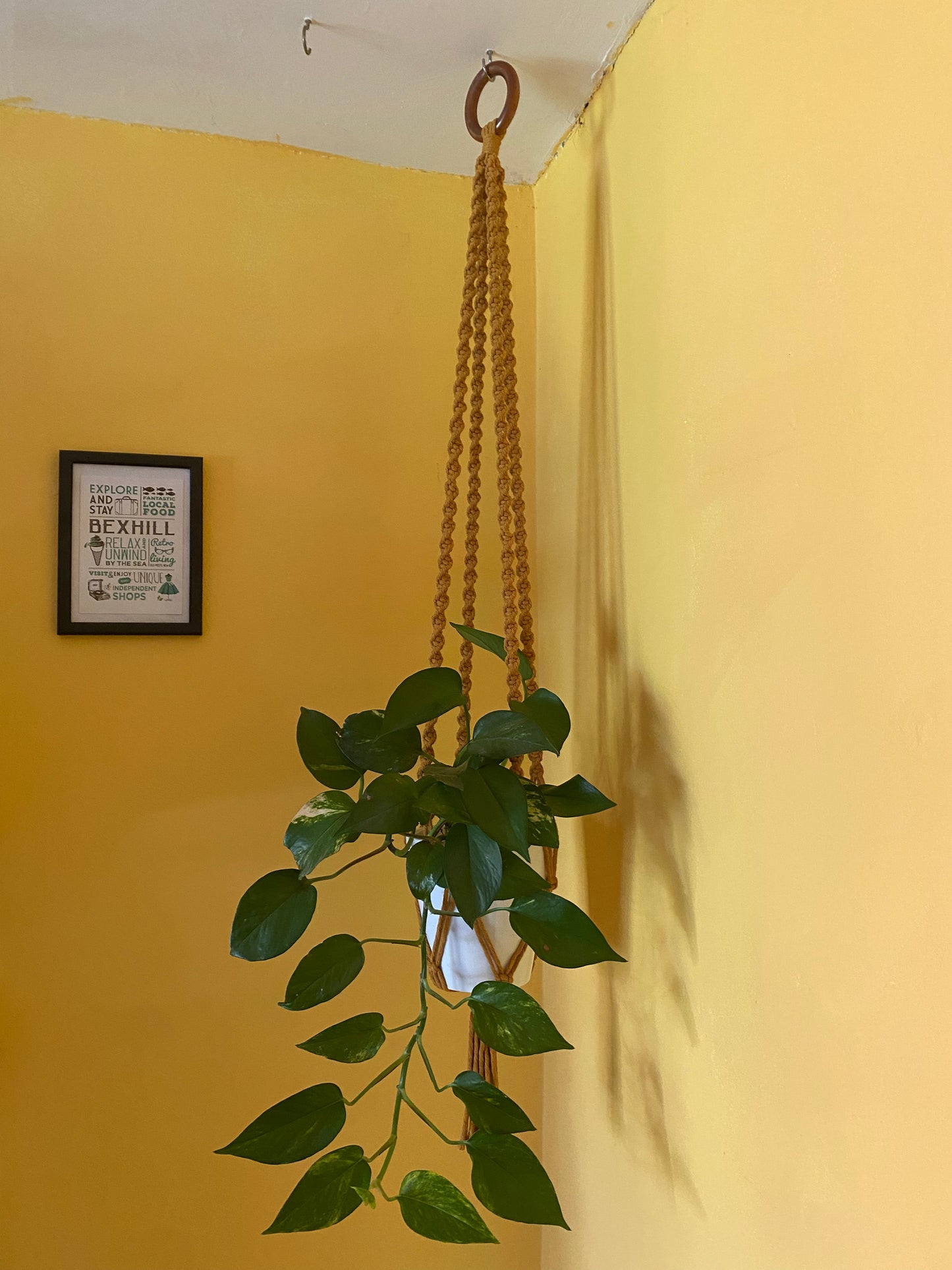 Macra-Made With Love macrame plant hanger mustard hanging