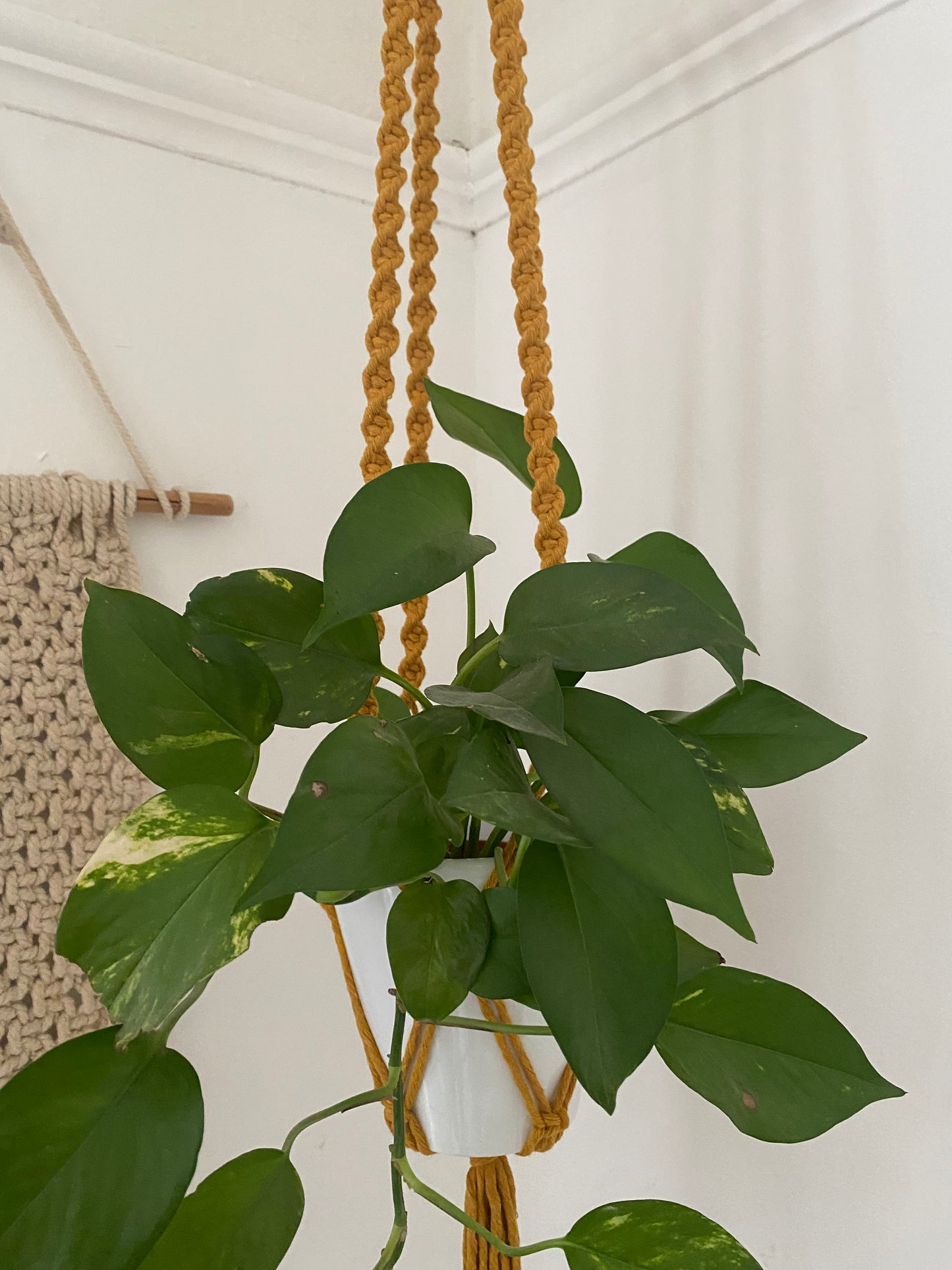 Macra-Made With Love macrame plant hanger mustard twist detail
