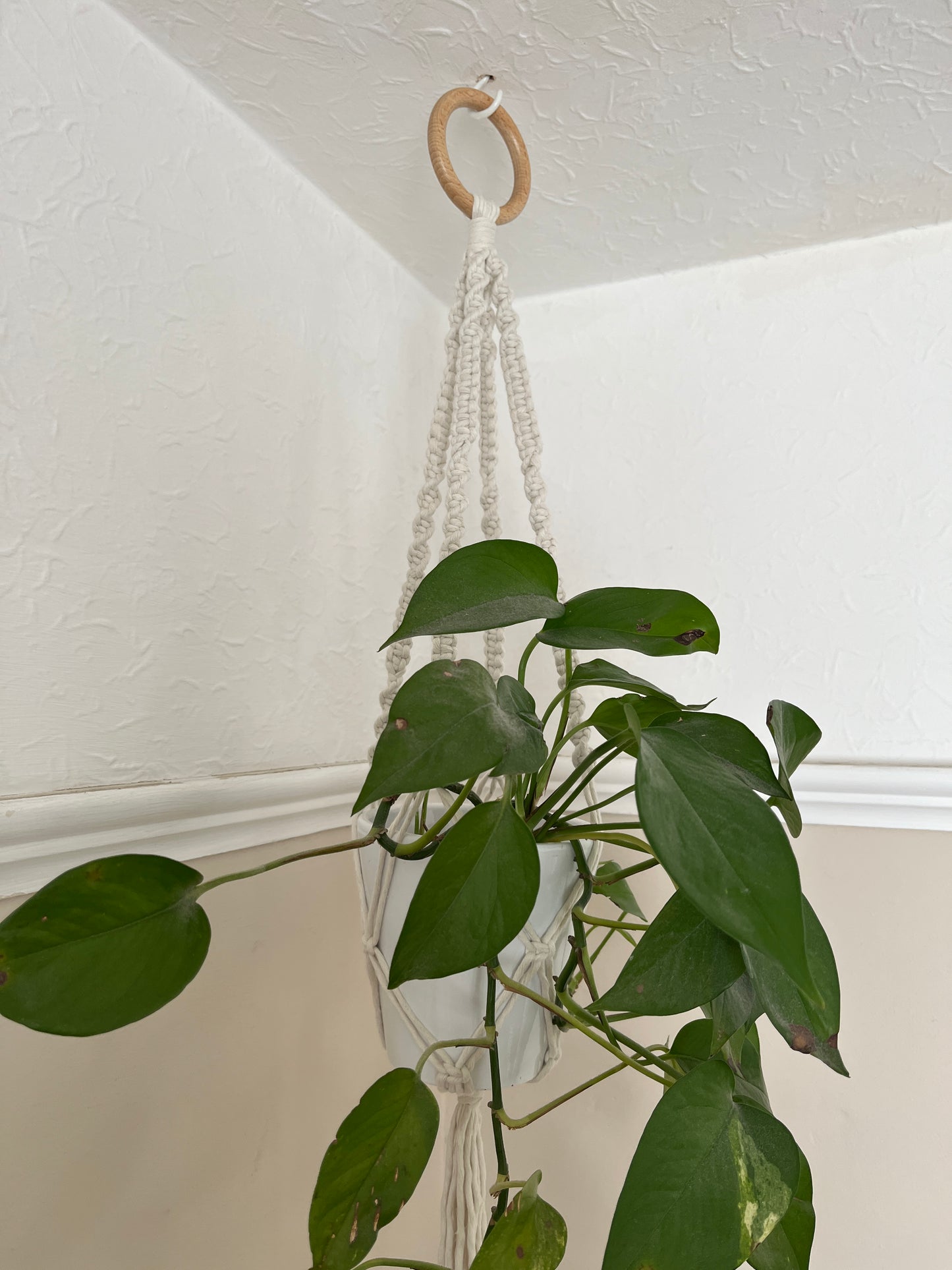 Short Plant Pot Hanger | 50cm