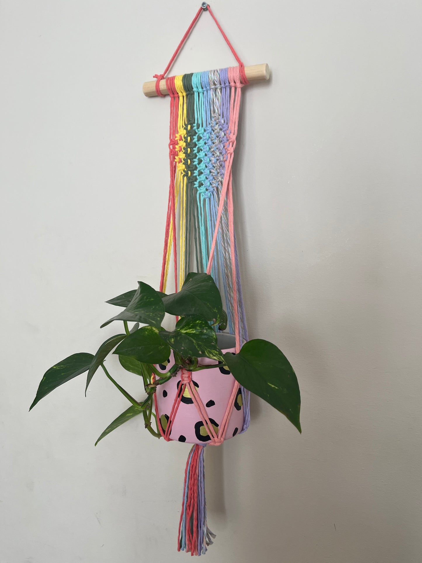 Macramé Heart Wall Hanging Plant Holder