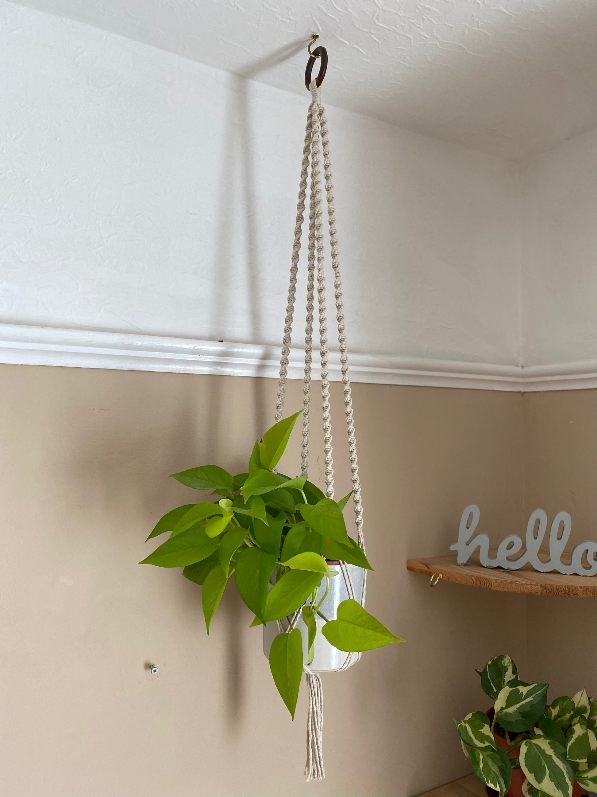 Macra-Made With Love macrame plant hanger natural hanging