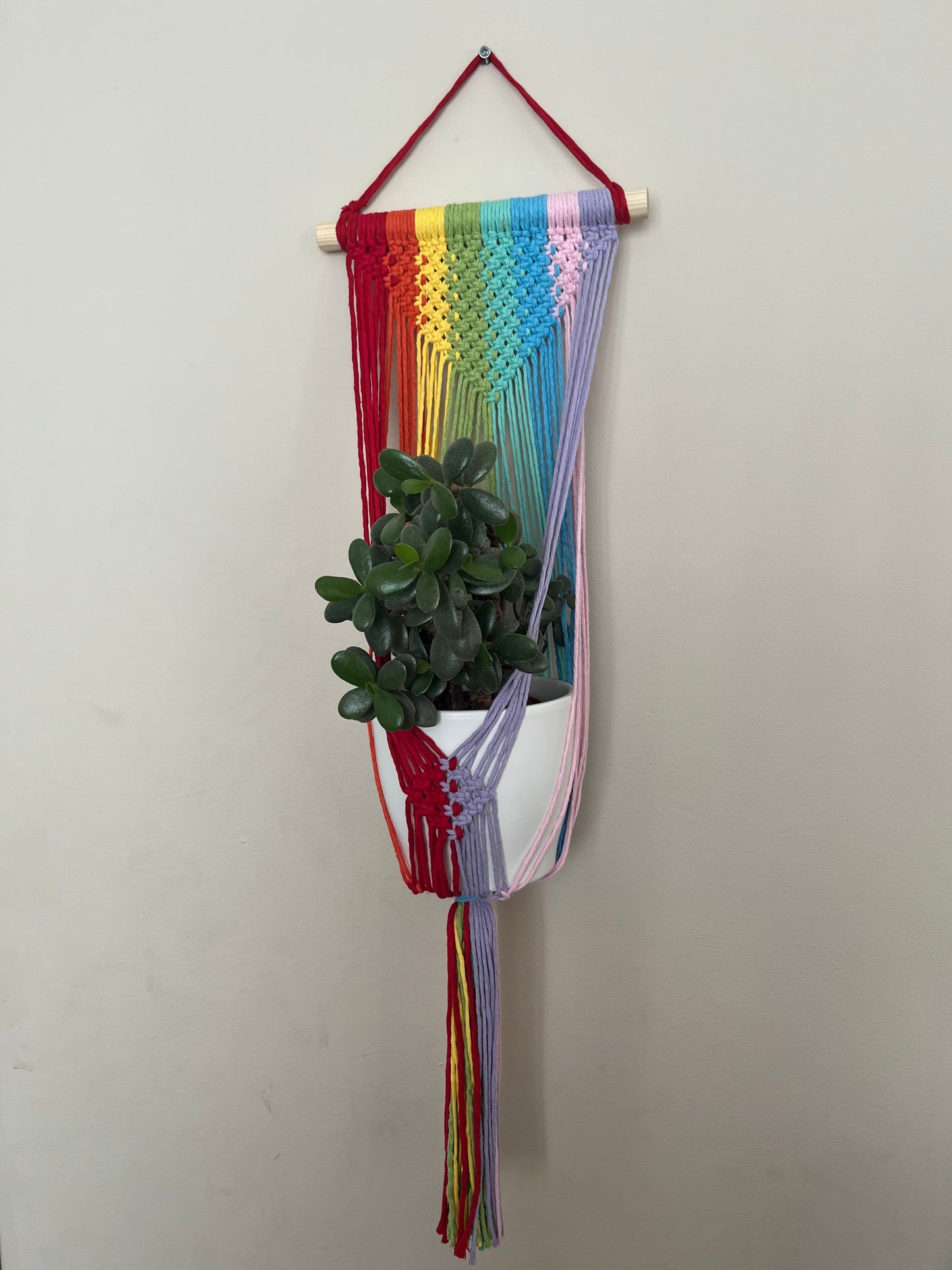 Large Rainbow Wall Hanging Planter