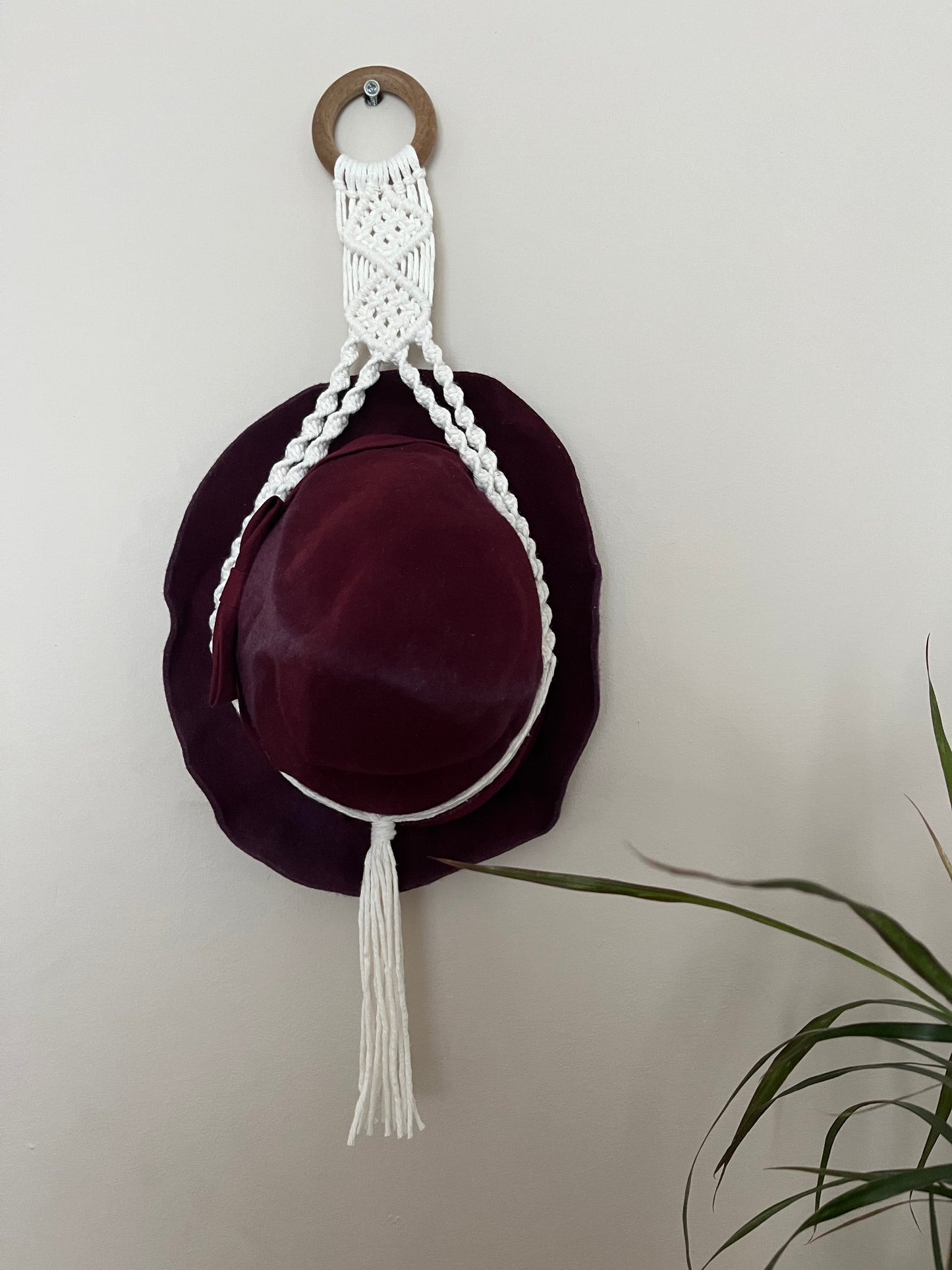 Hat Display Hanger for Wall