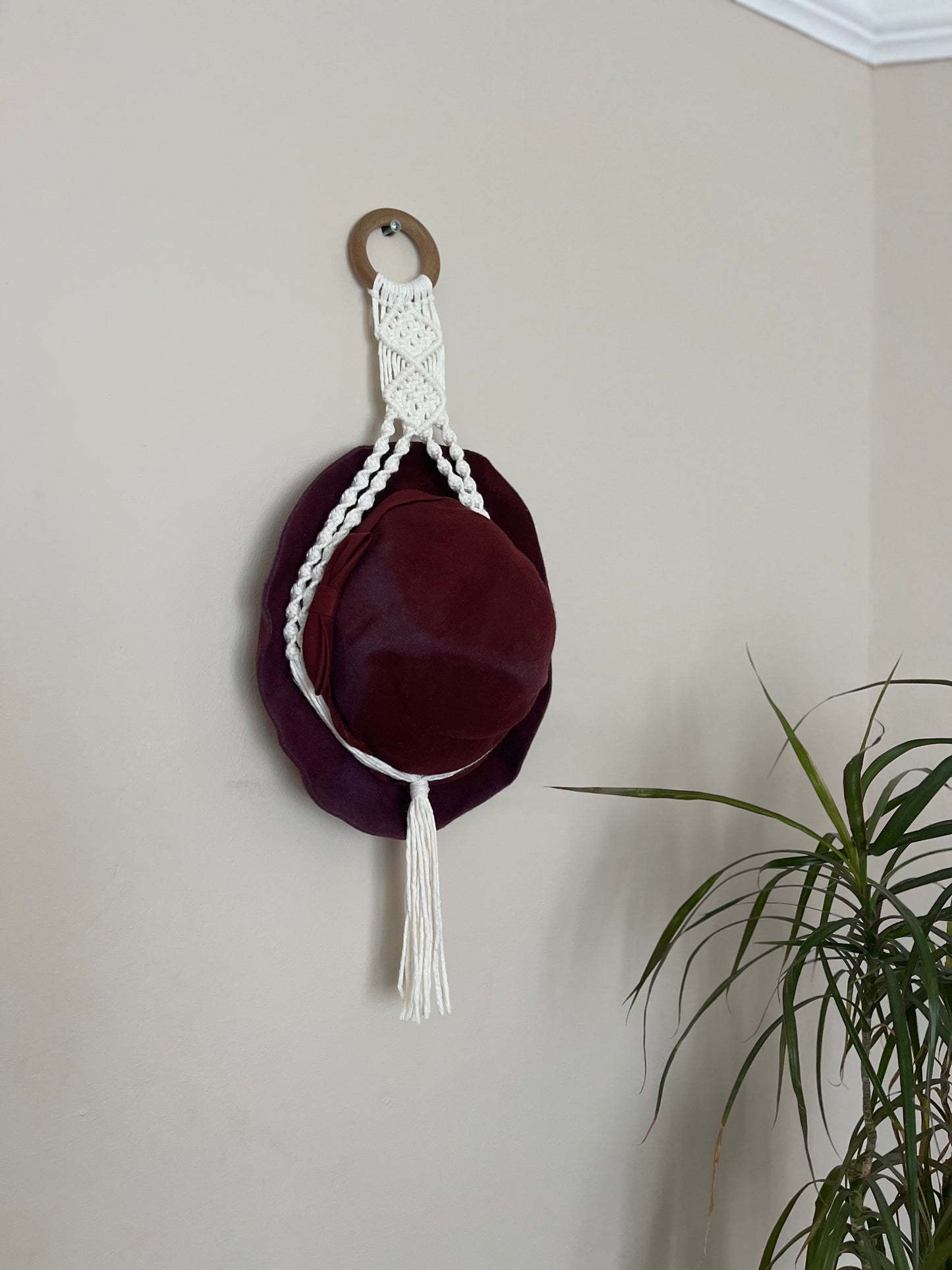 Hat Display Hanger for Wall