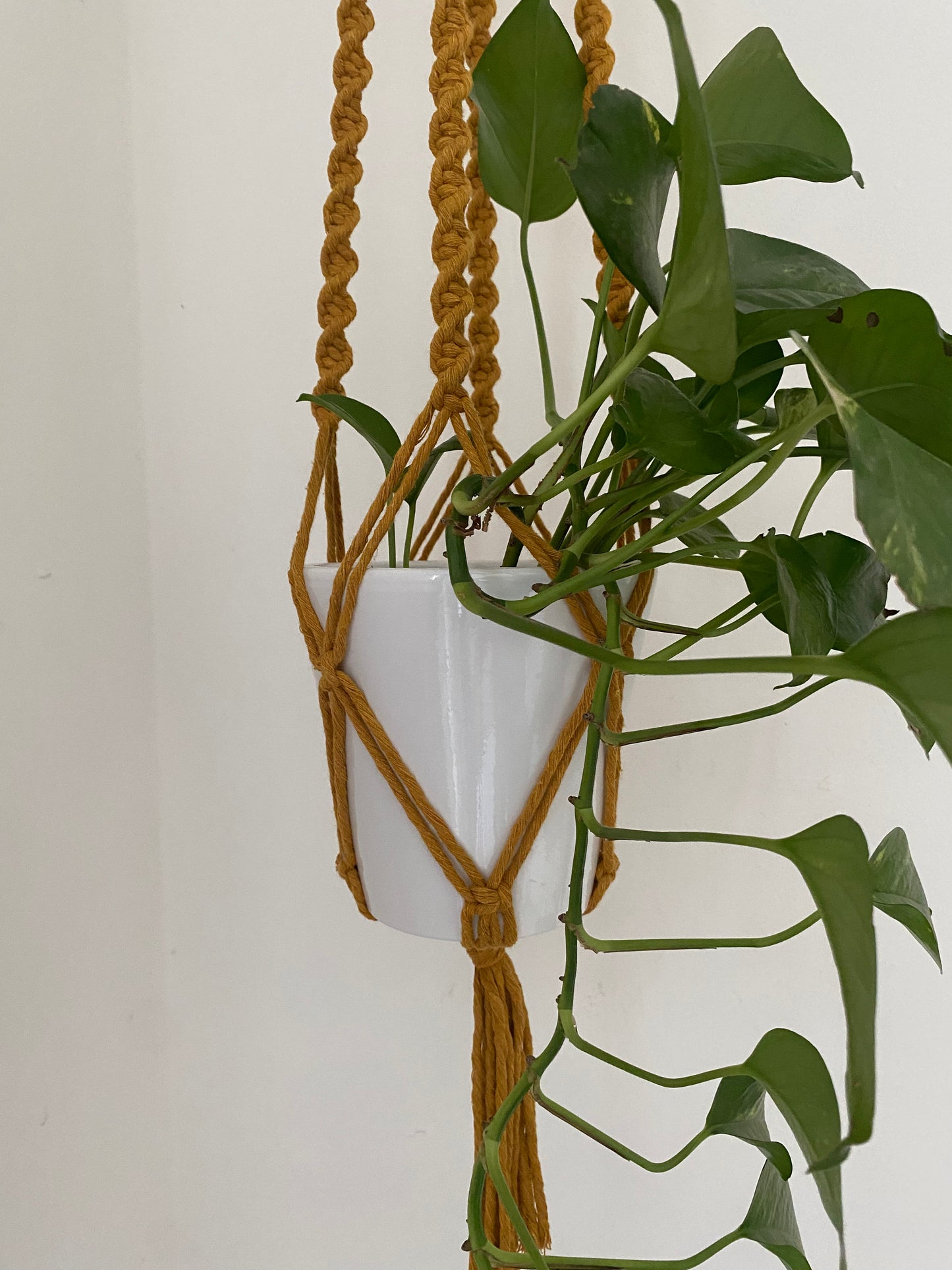 Macra-Made With Love macrame plant hanger mustard bottom detail