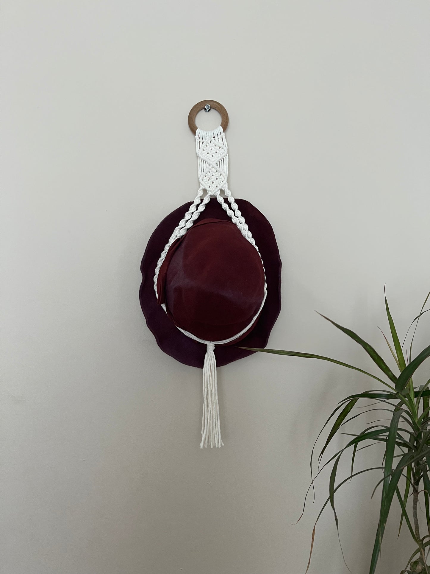 Hat Display Hanger for Wall
