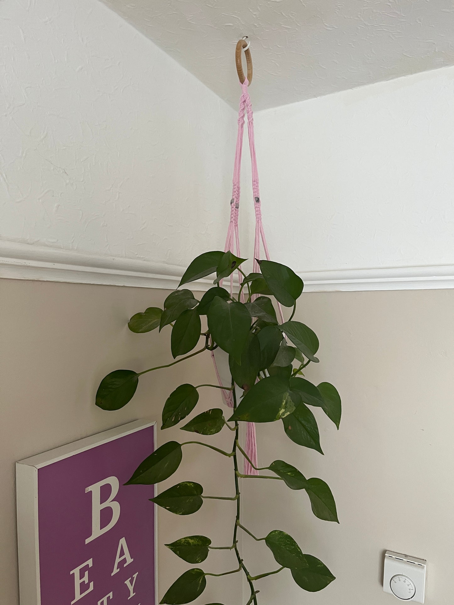 Skull Bead Macrame Plant Hanger