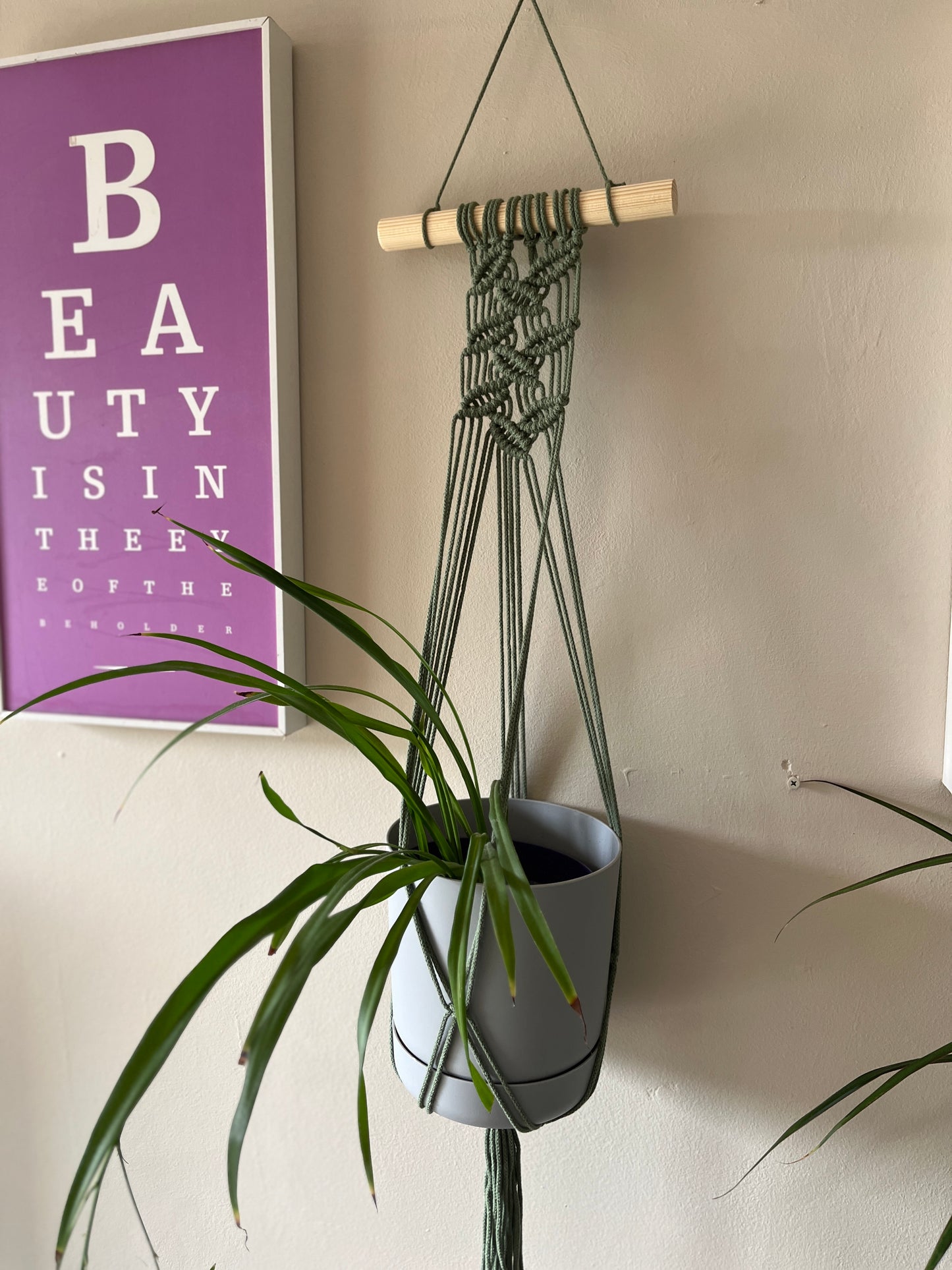 Green Macrame Wall Plant Hanger
