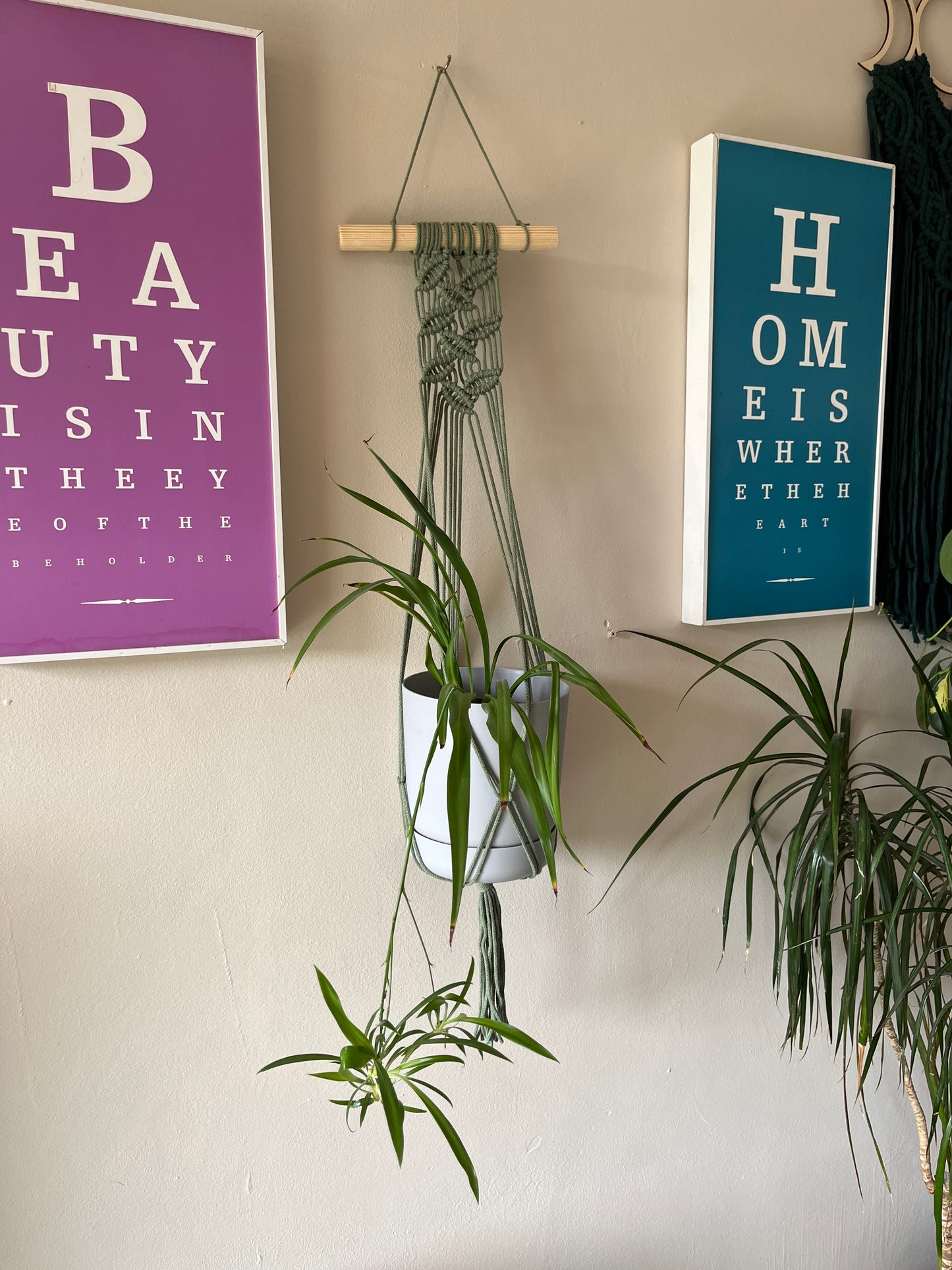Green Macrame Wall Plant Hanger