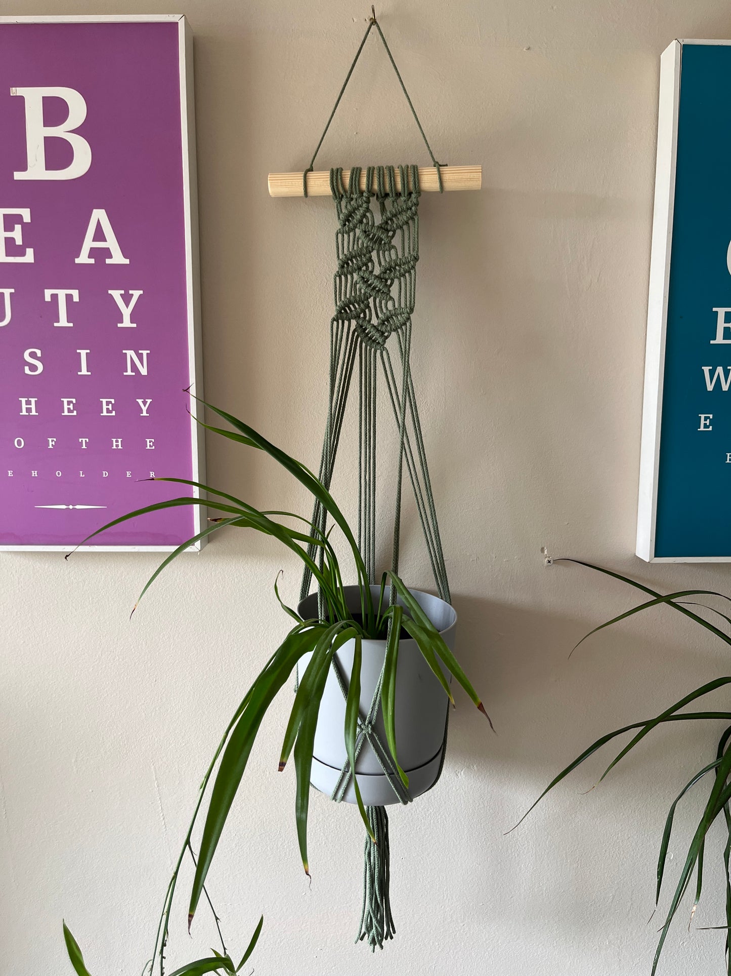 Green Macrame Wall Plant Hanger