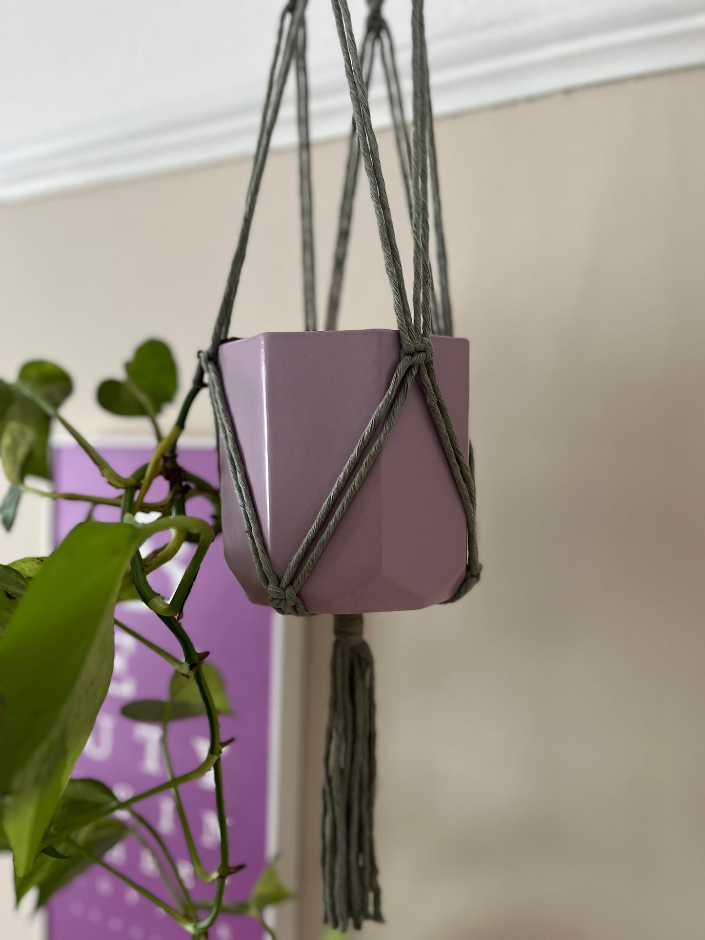 Handmade macrame plant hanger made with sage green recycled cotton, shown with a small lilac plant pot inside of it.