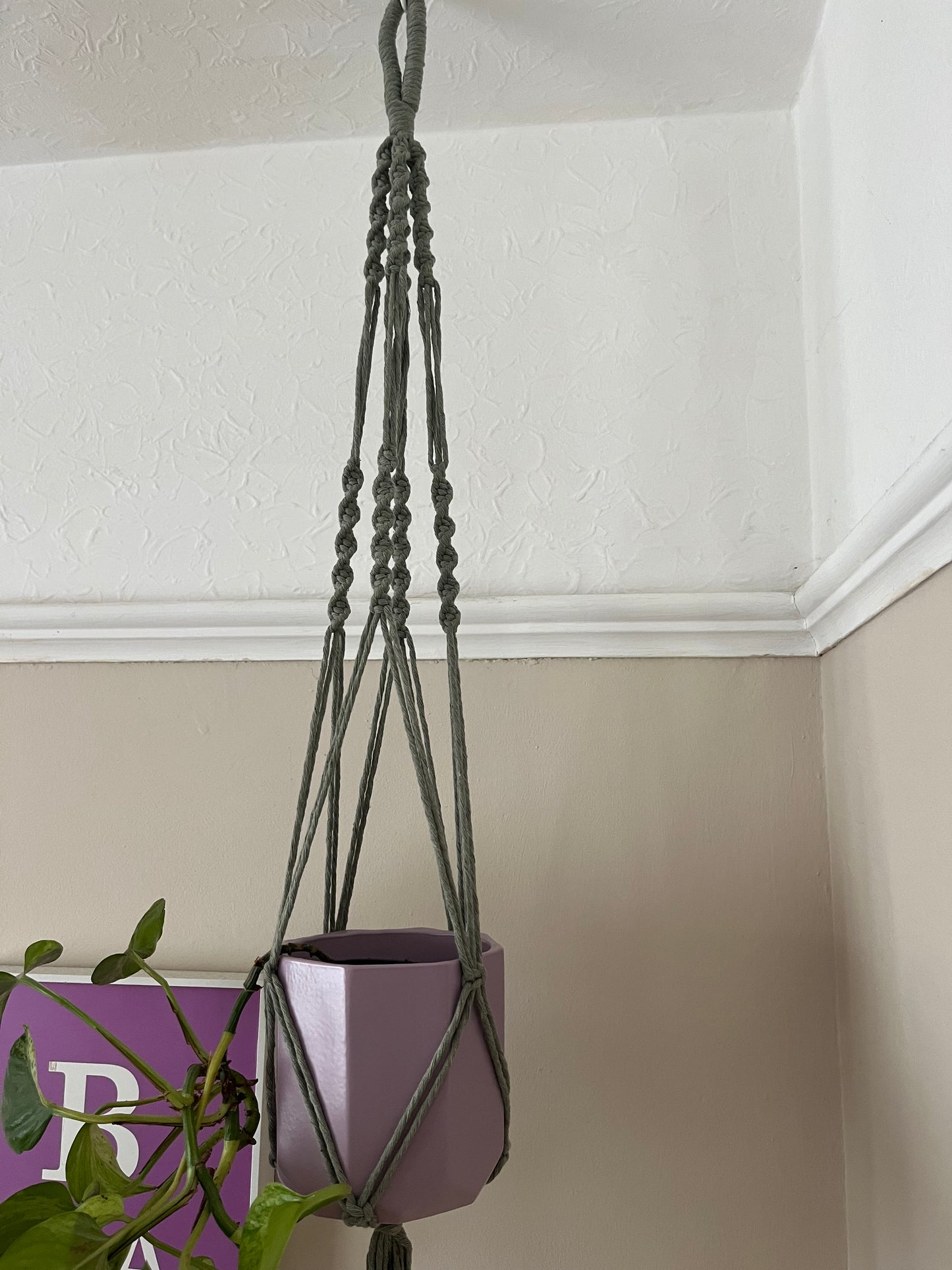 Handmade macrame plant hanger, made with sage green recycled cotton, displayed hanging from a ceiling hook in the corner of a room, with a small lilac plant pot inside of it.