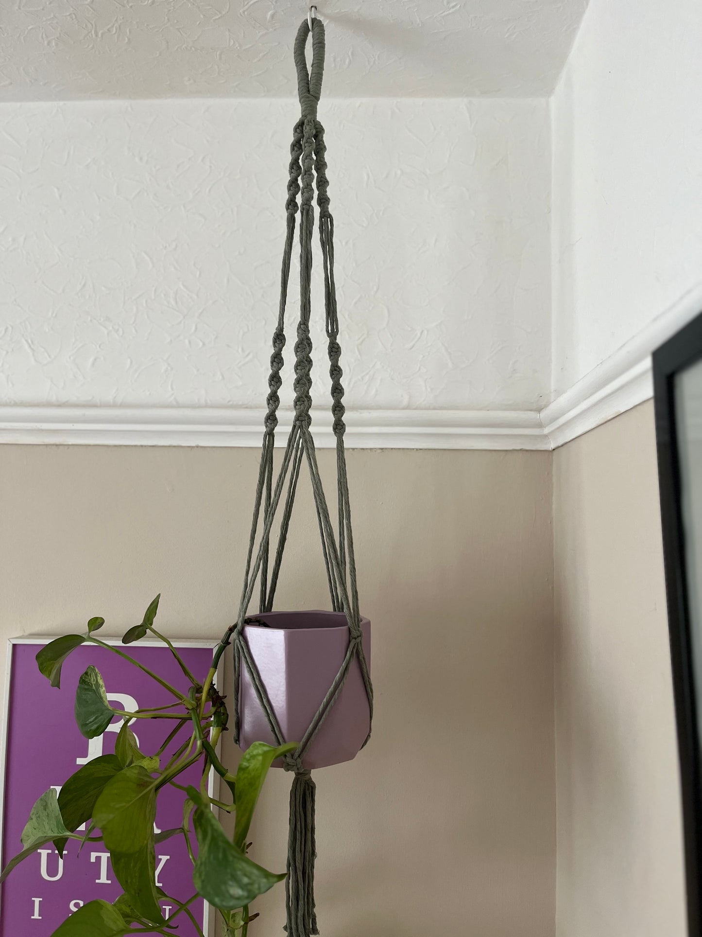 Handmade macrame plant hanger, made with eco friendly sage greens recycled cotton, displayed hanging from a ceiling hook in the corner of a room with a small lilac plant pot inside of it.