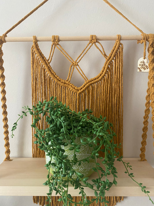Close up image of a handmade macrame wall shelf with mustard yellow cotton knotted yarn and light wooden base, suspended on a wooden dowel against a beige painted wall. There is a green artificial plant on the shelf.