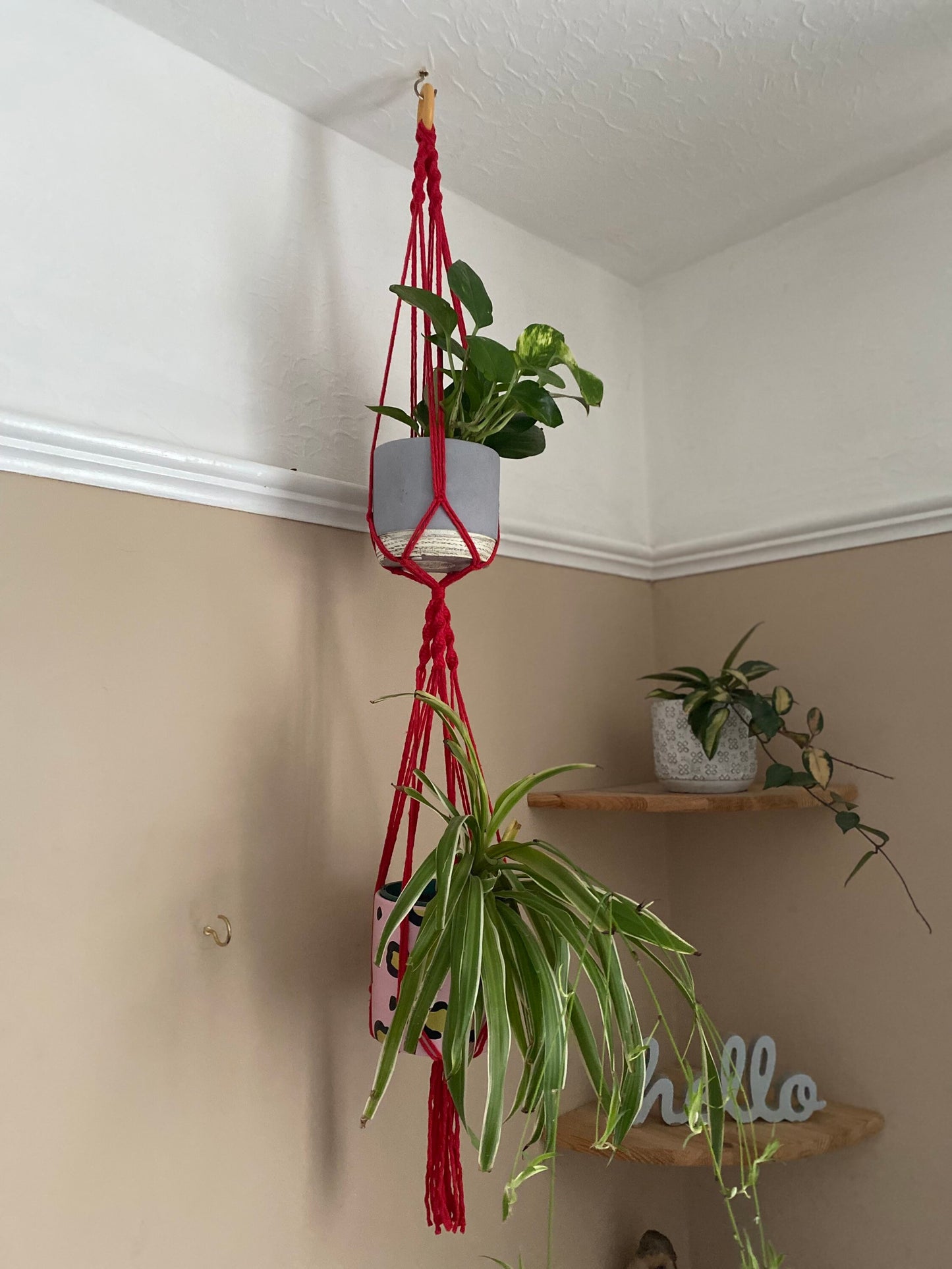 Two green plants in ceramic pots, suspended vertically in a large double macramé plant hanger, made with red yarn and a wooden hanging ring, in the corner of a room with beige walls. There is a set of corner shelves in the background.