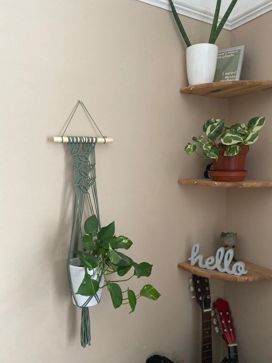 A wall-mounted green leaf-pattern plant holder made of braided cord and wood, displaying a potted trailing plant. This is placed on a wall with corner shelves to the right, containing various decorative items, and two guitars can just be seen below.