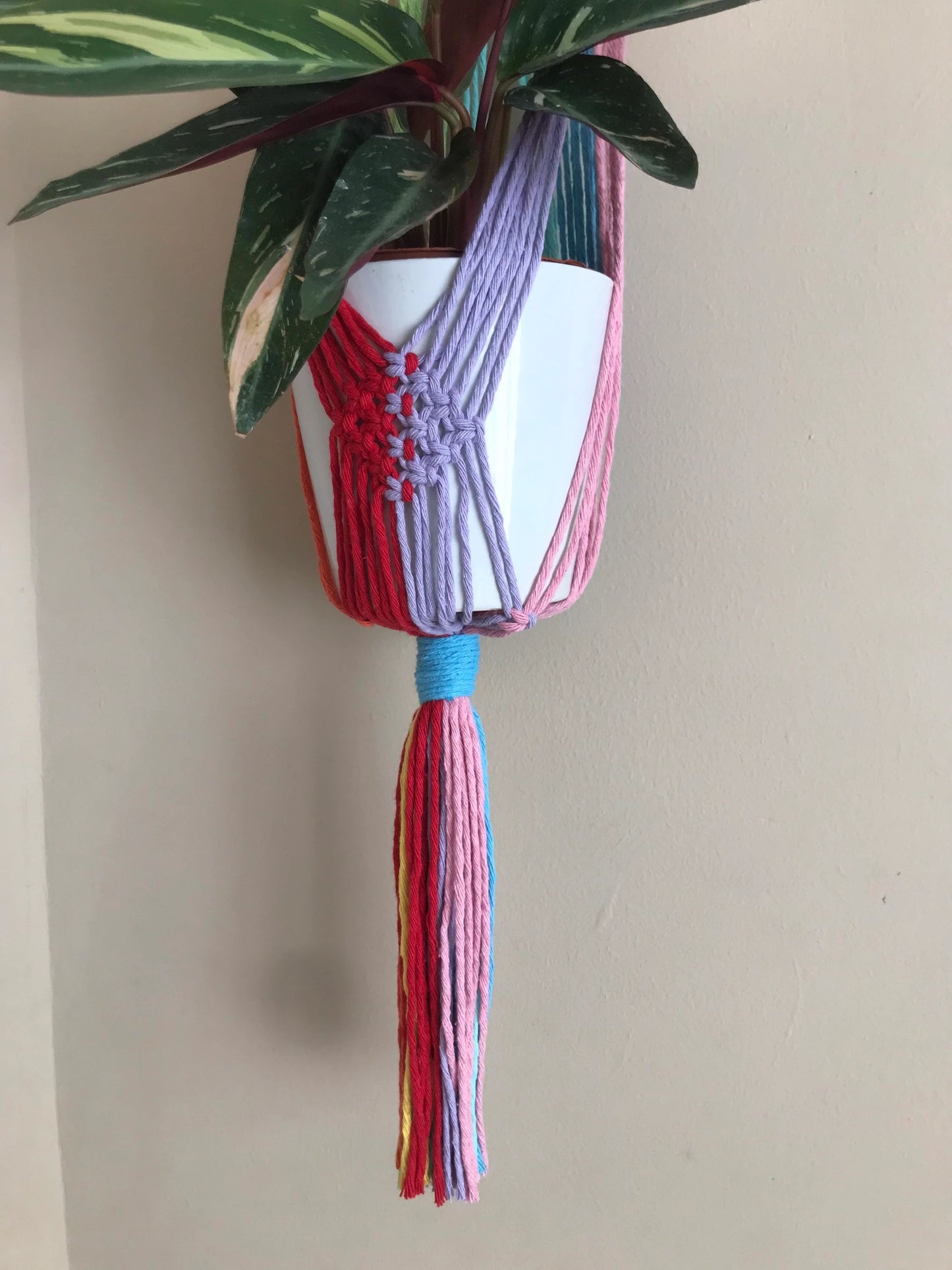 Macra-Made With Love large rainbow macrame plant hanger bottom focus