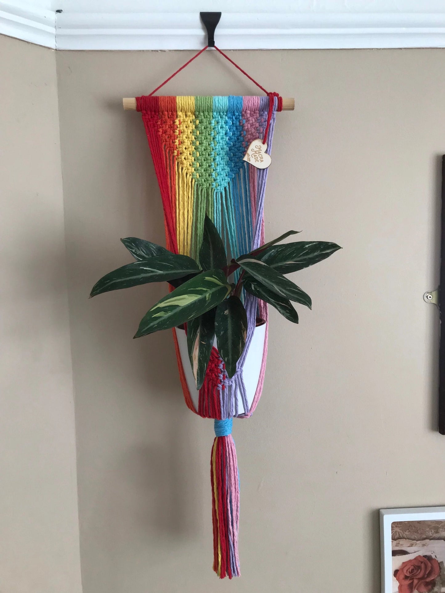 Macra-Made With Love large rainbow macrame plant hanger on picture rail