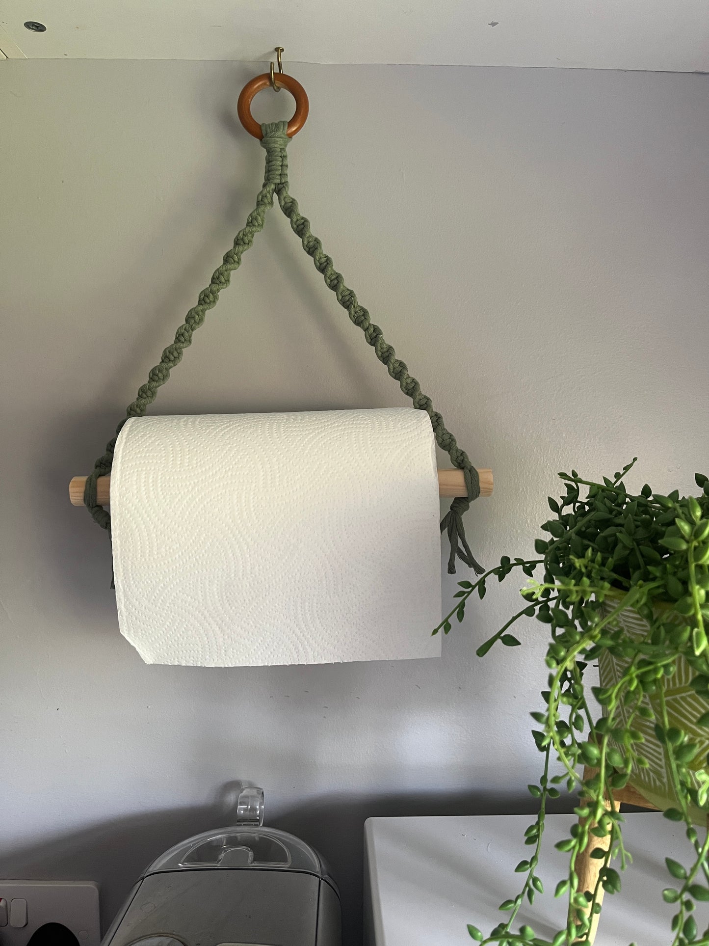 Wall-mounted paper towel holder with green rope and wooden dowel, holding a roll of white paper towels. next to a trailing green plant.
