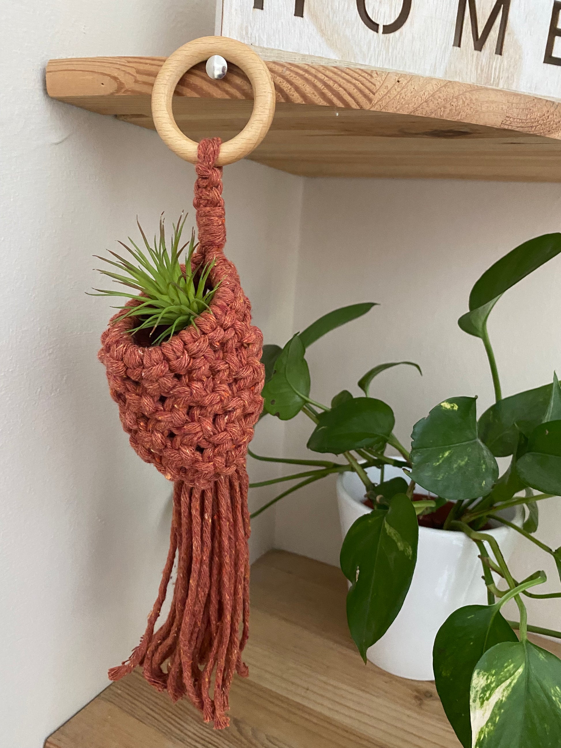 A small green air plant sits inside a macrame pod hanger, made with terracotta coloured cotton and a wooden hanging ring. The pod is hung on a wooden corner shelf, and there is a long trailing houseplant on the shelf below.